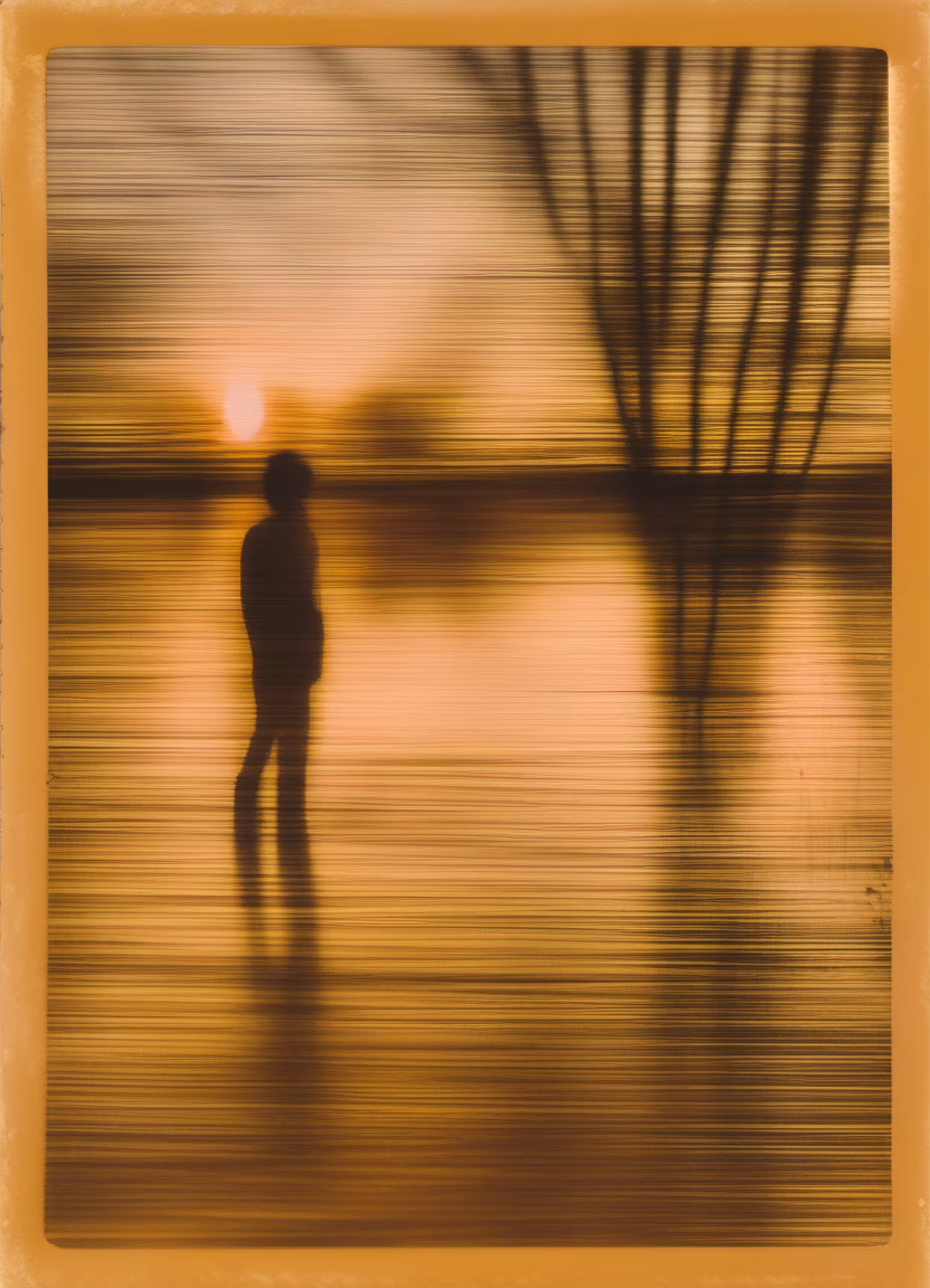Summer Distortions #16