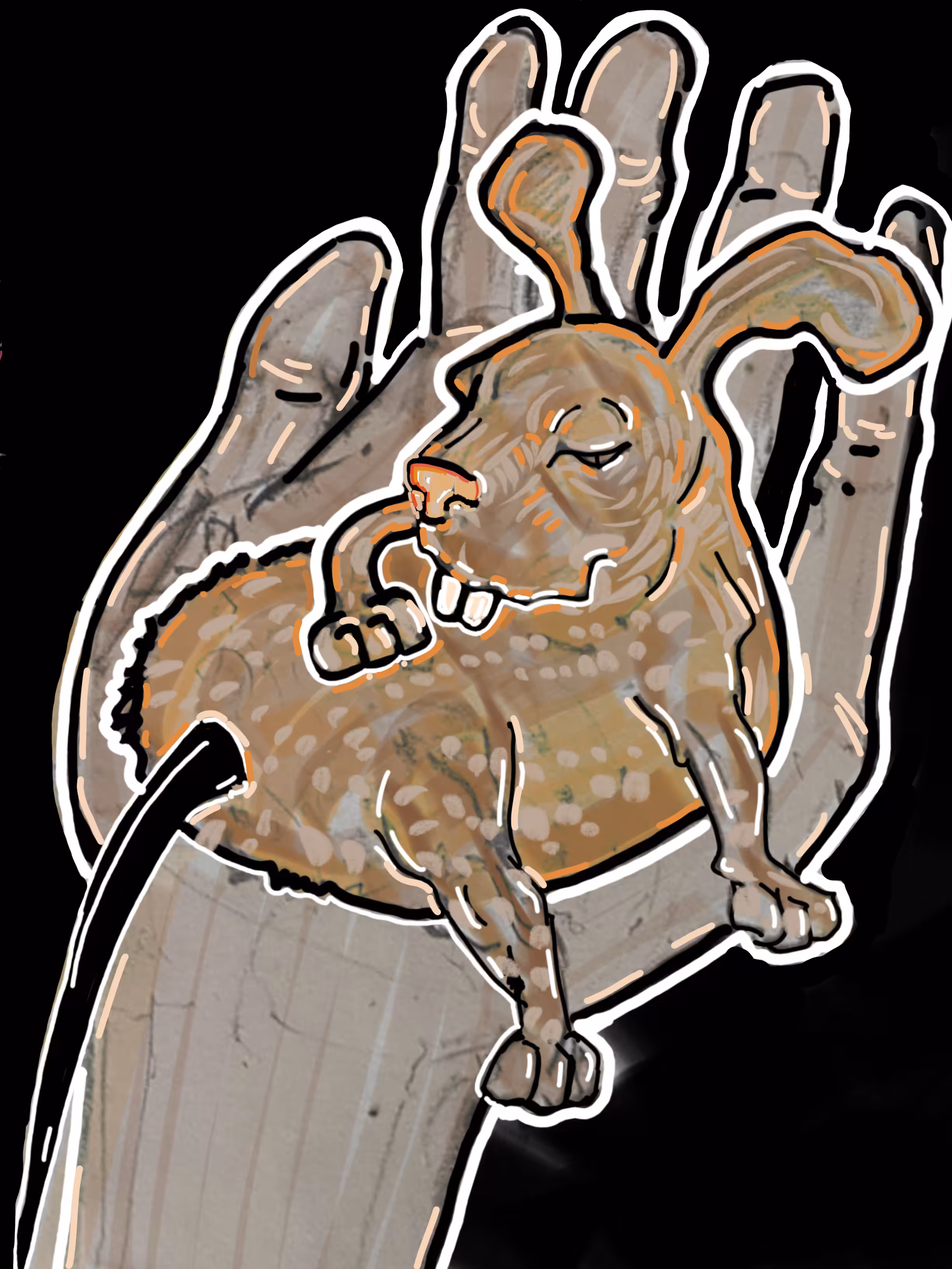 Bunny