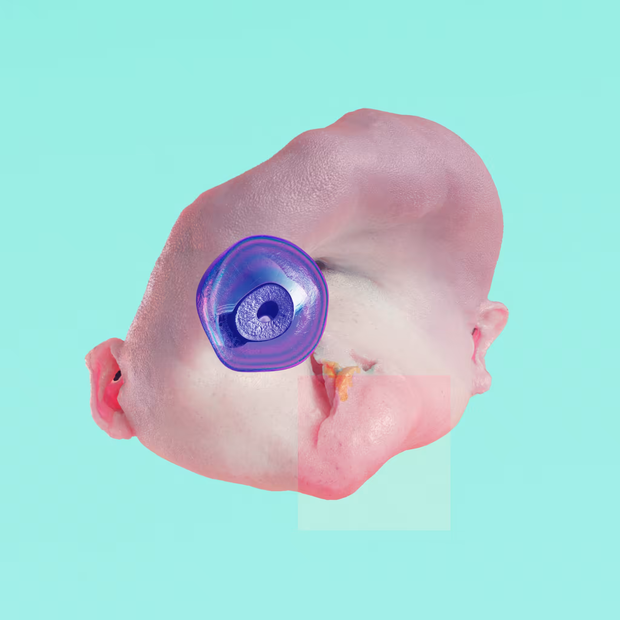 DEGEN #060