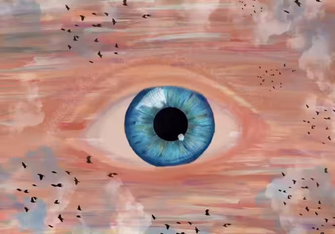 eyesight flight