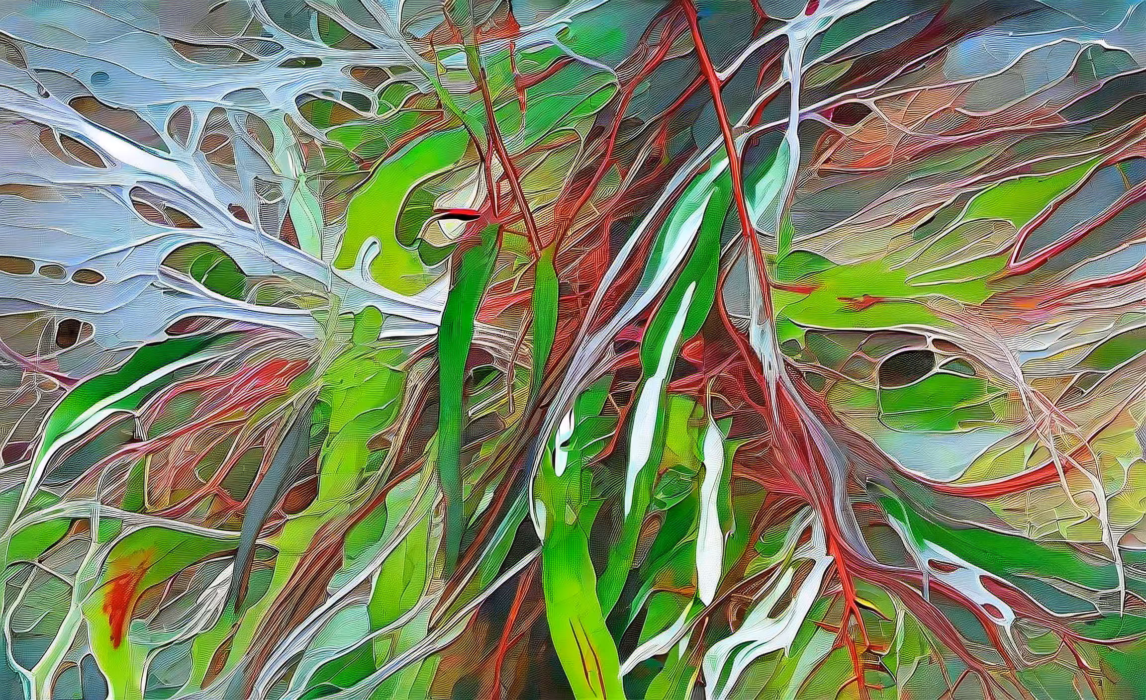 Convolution Studies 002 #21