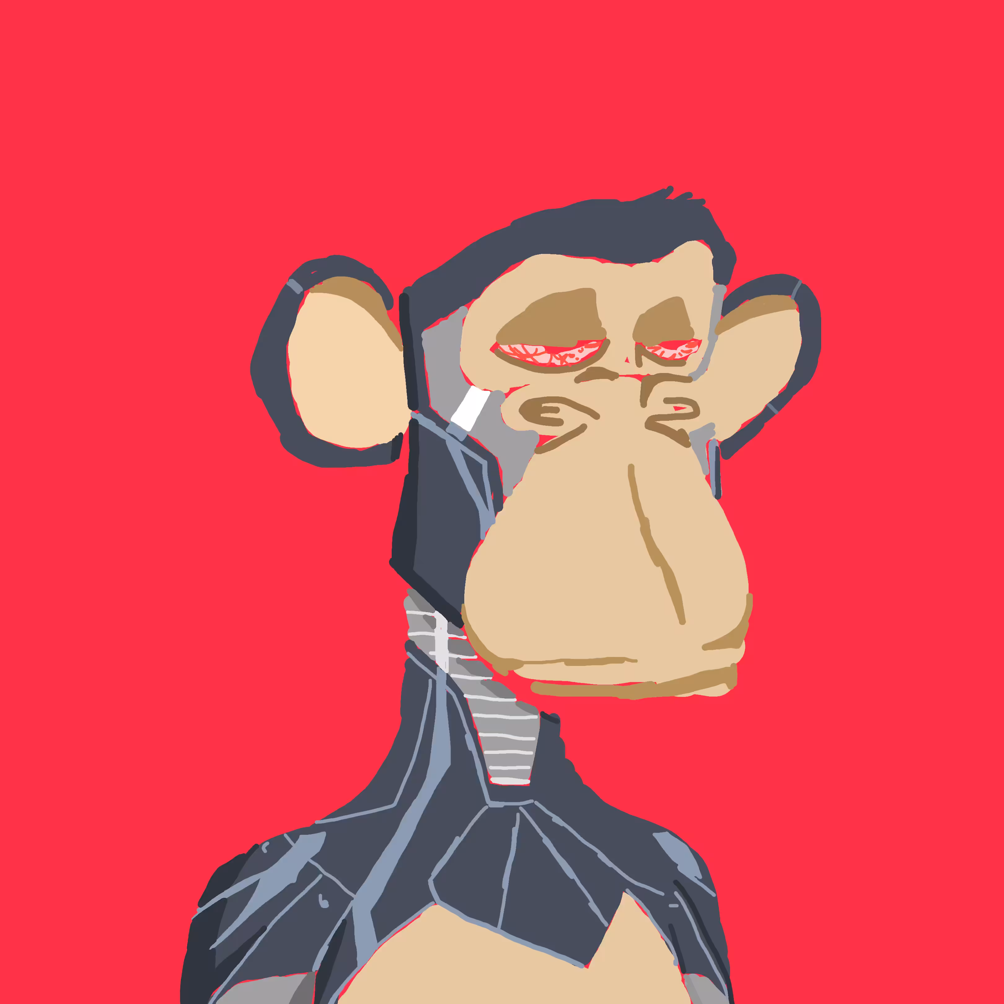 “SCRATCHED” APE | AMBASSADOR OF OBJECTS