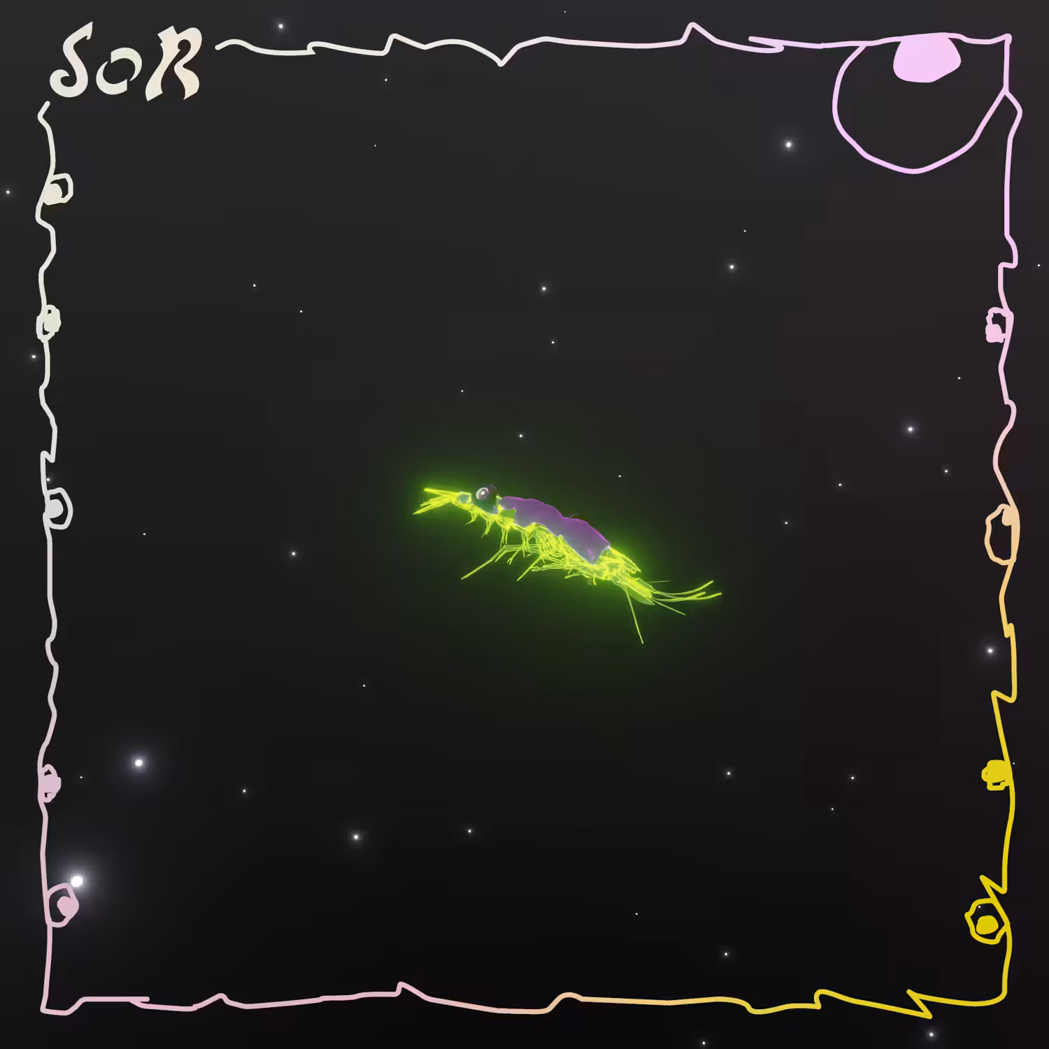 Shrimp #435