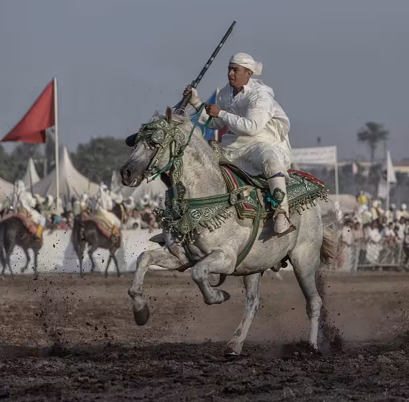 Tbourida, Moroccan horsemanship
