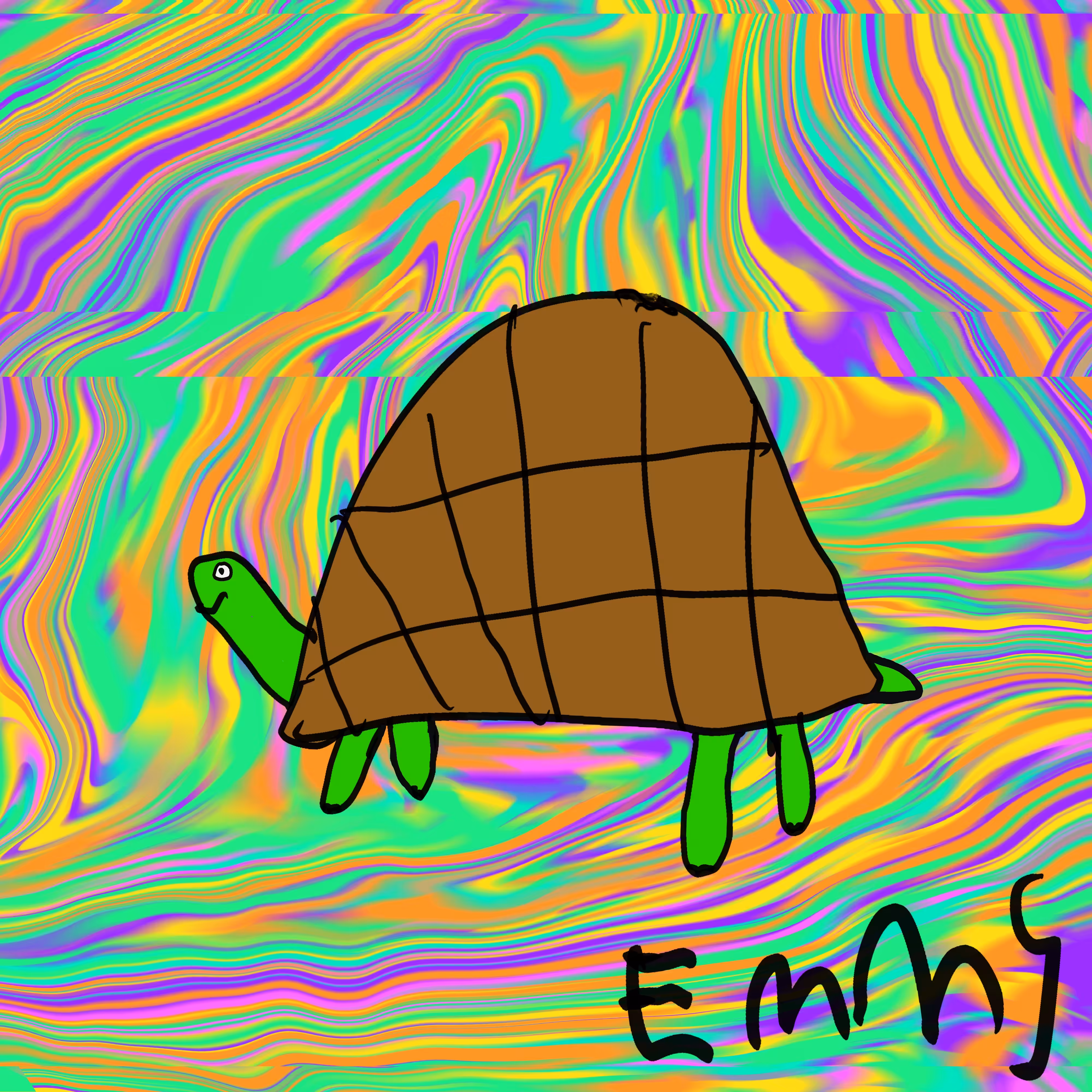 Trippy Turtle 