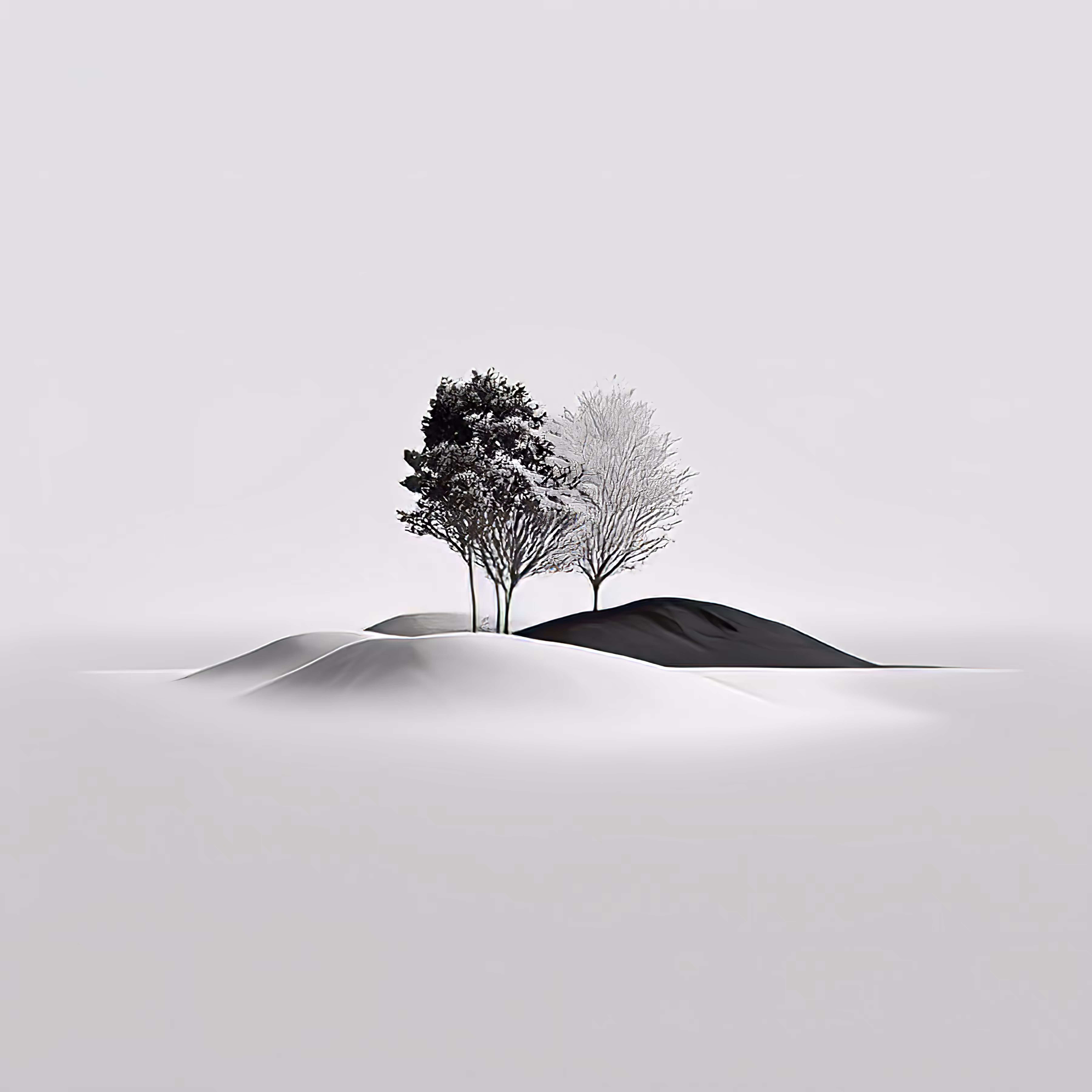 OASIS