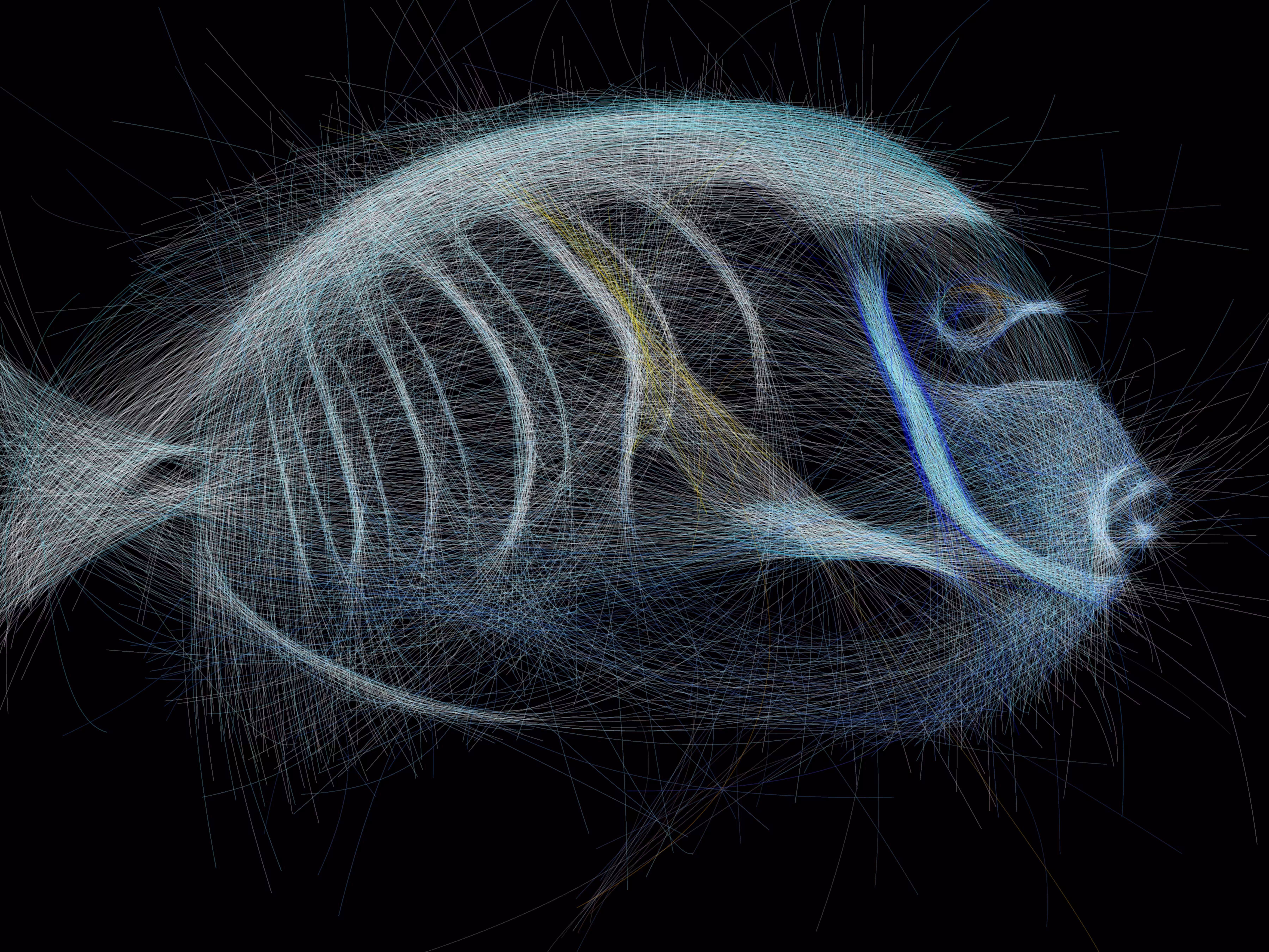 Underwater 179