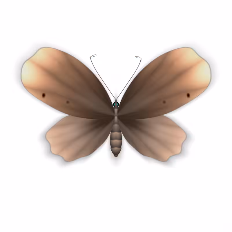 Vlinder II #21