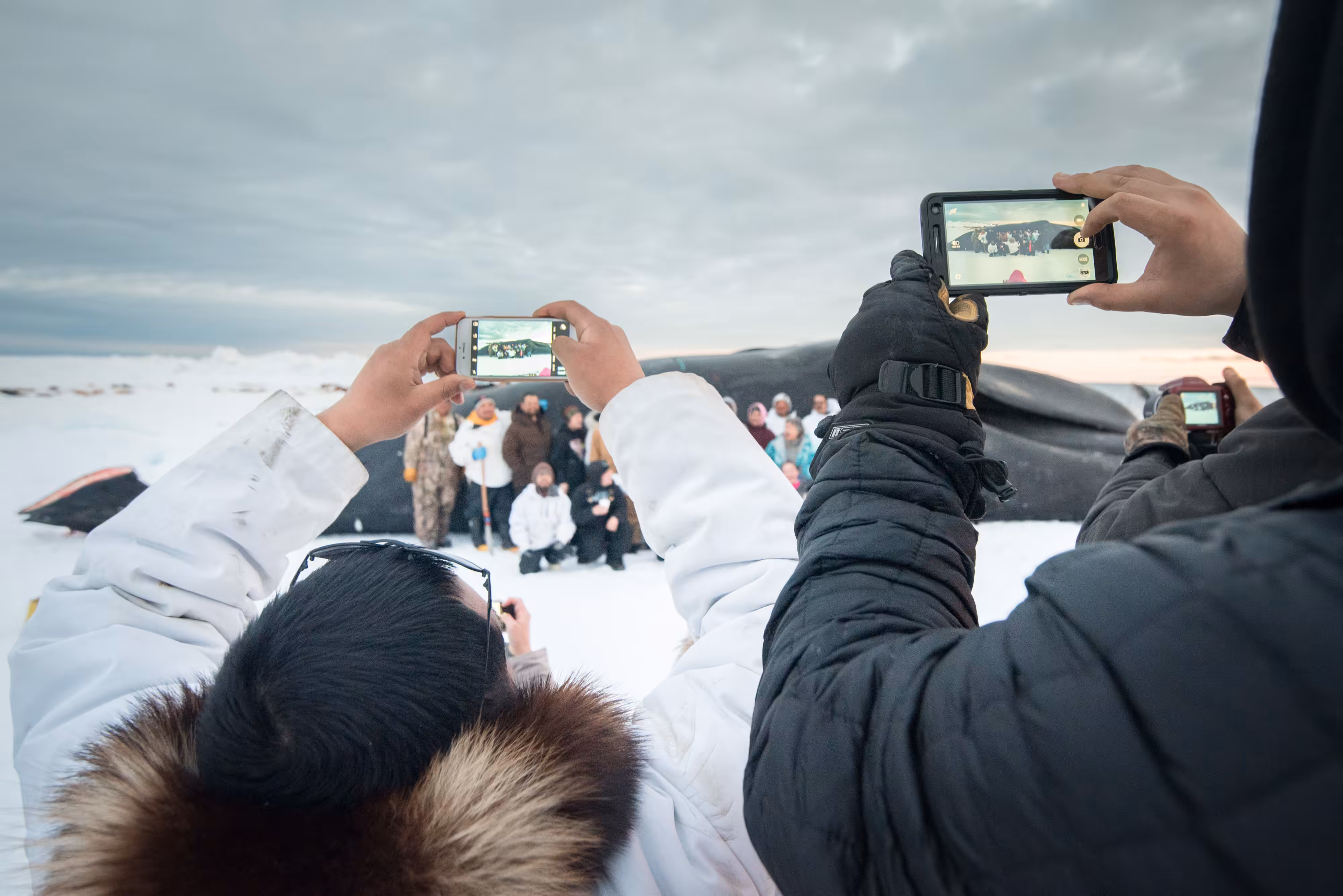 Rumors of Arctic Belonging - Aakan Whalers, Portrait Time