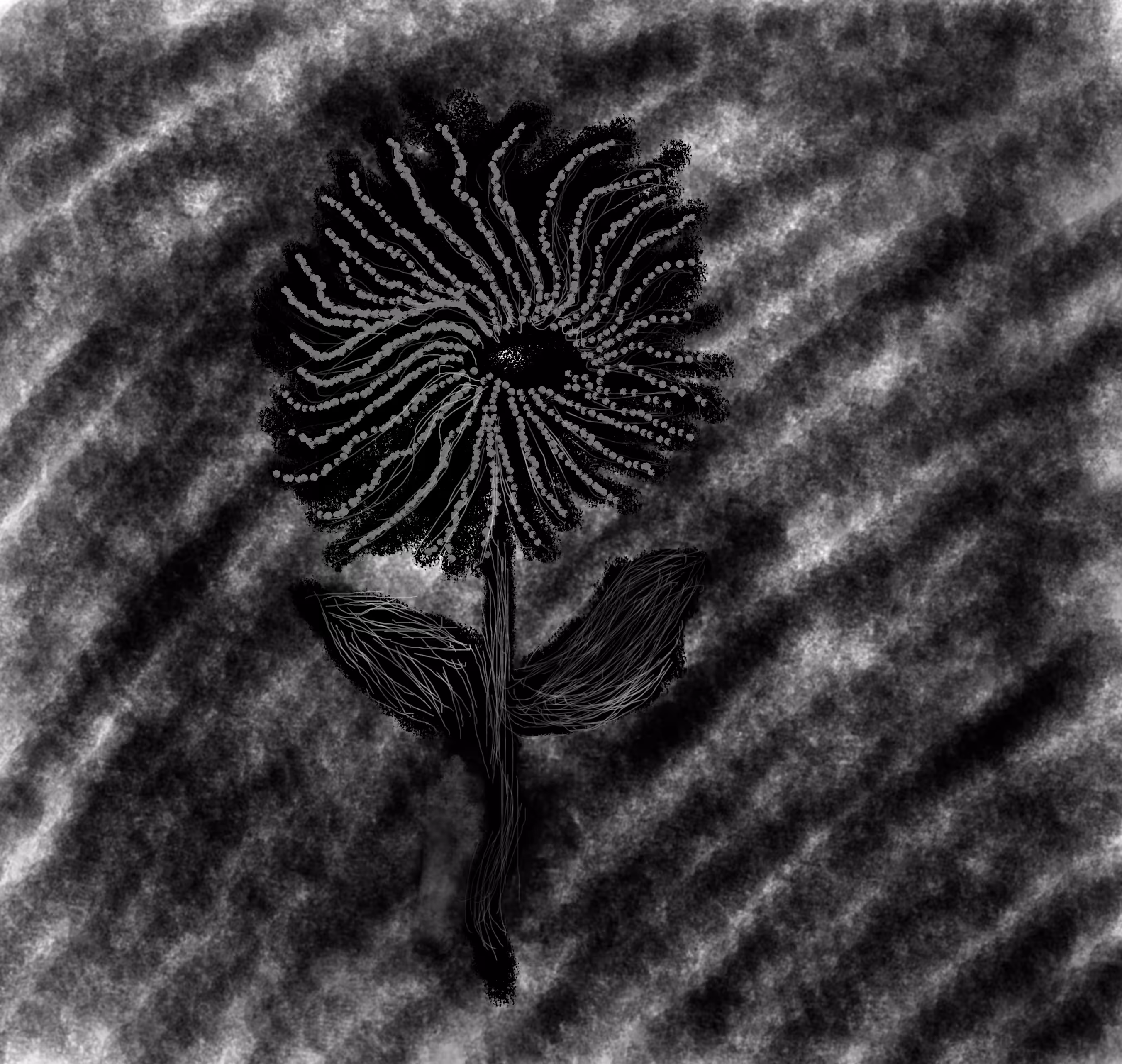 #14 Ephemeral Flower