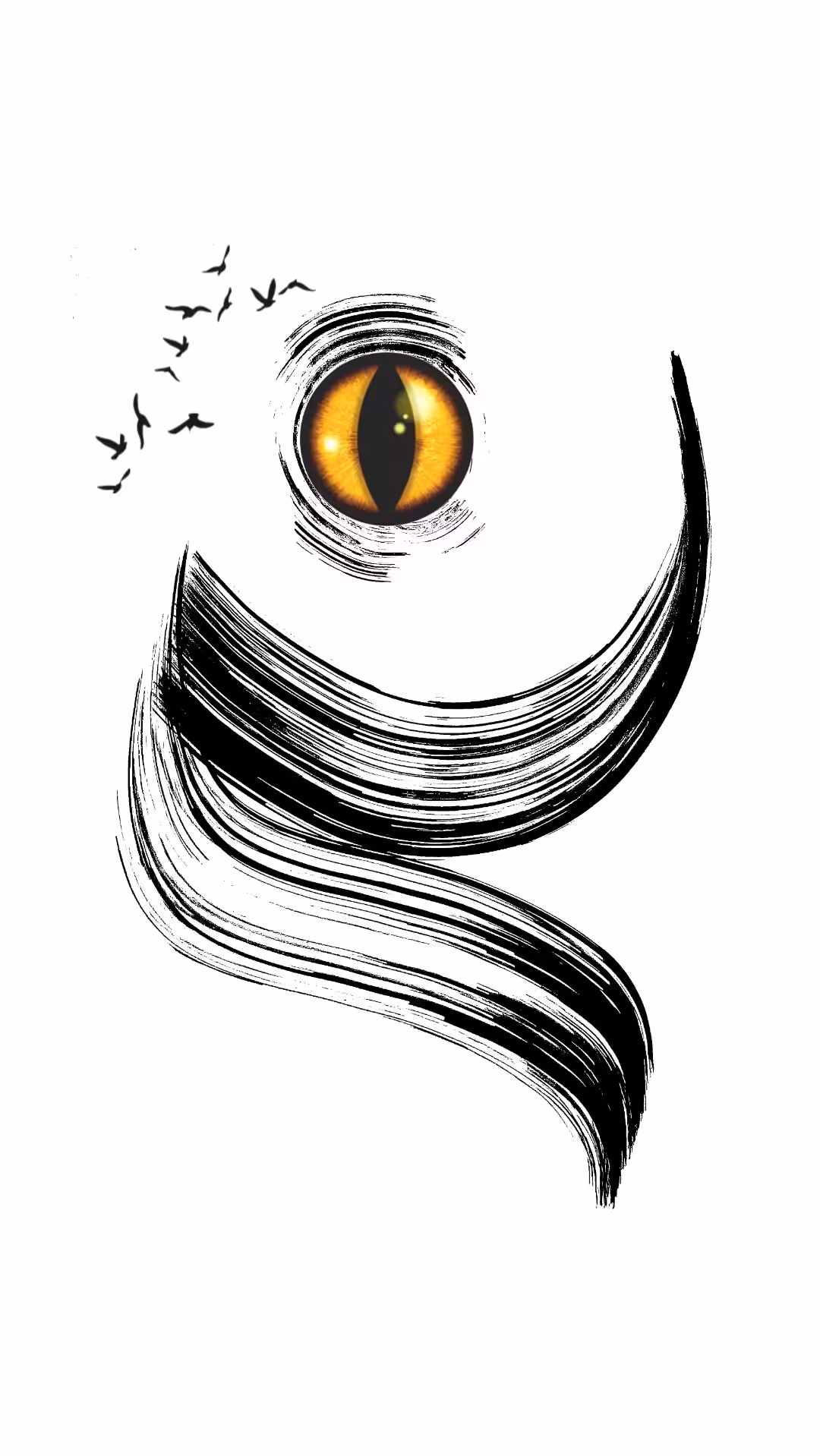  the eye