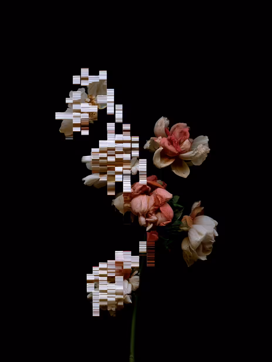 Error in the Garden