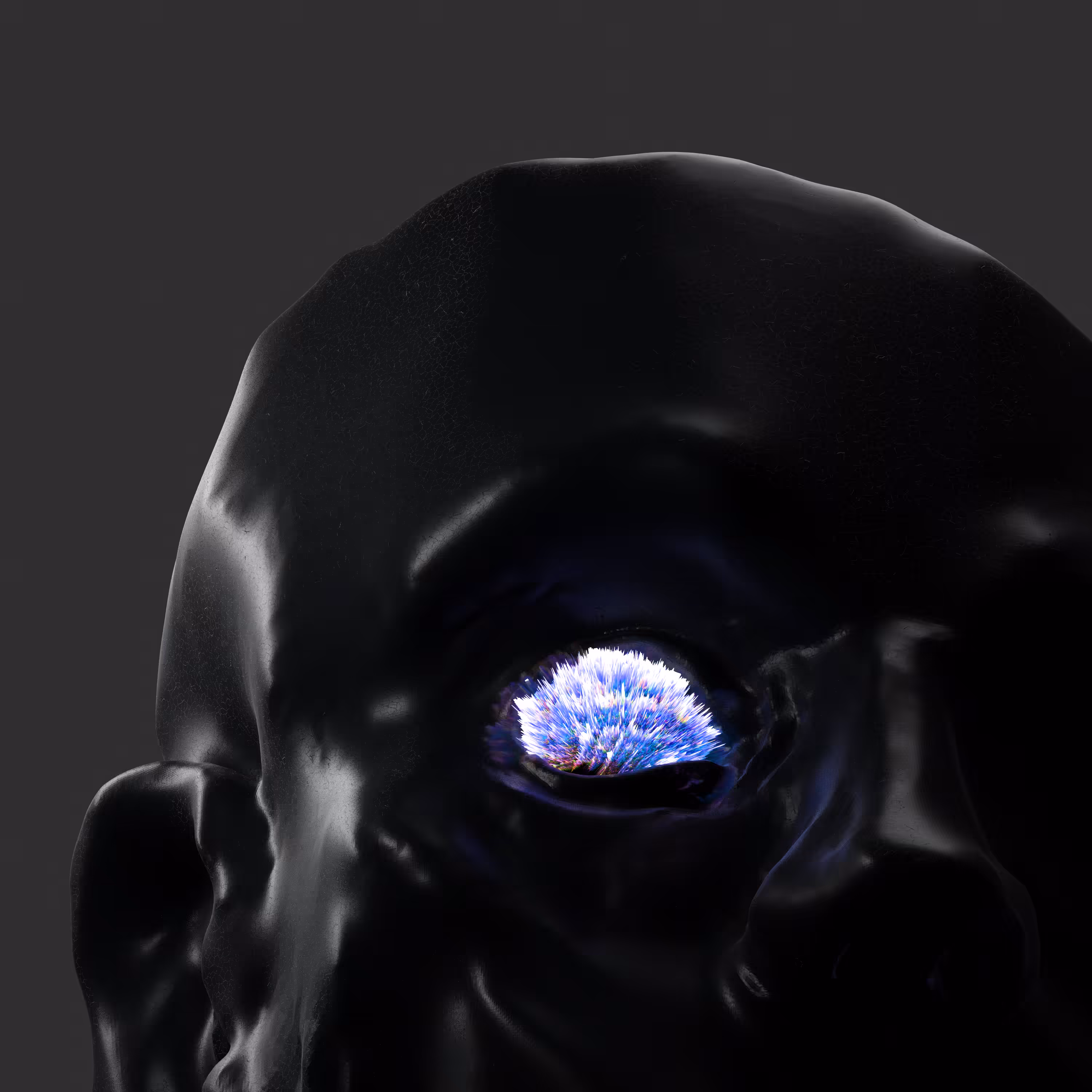 Fractal Glance