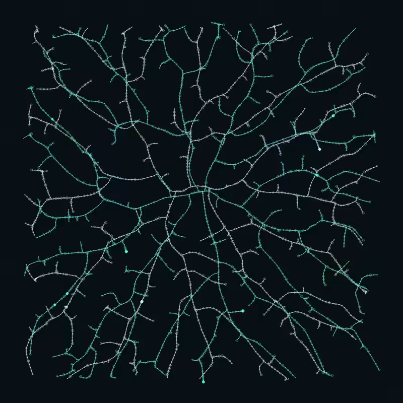 A study in Entanglement #14