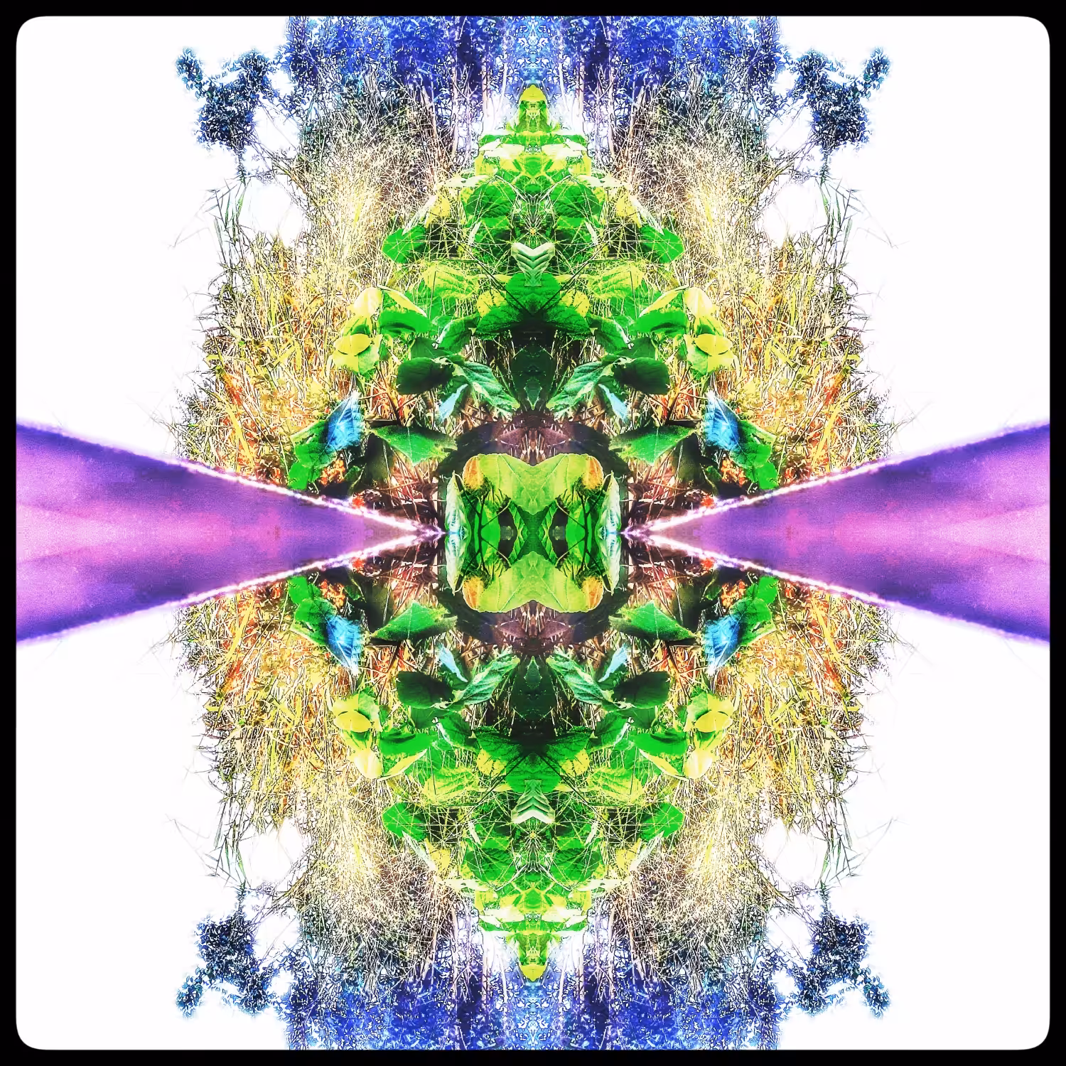 Intrinsic Nature #2
