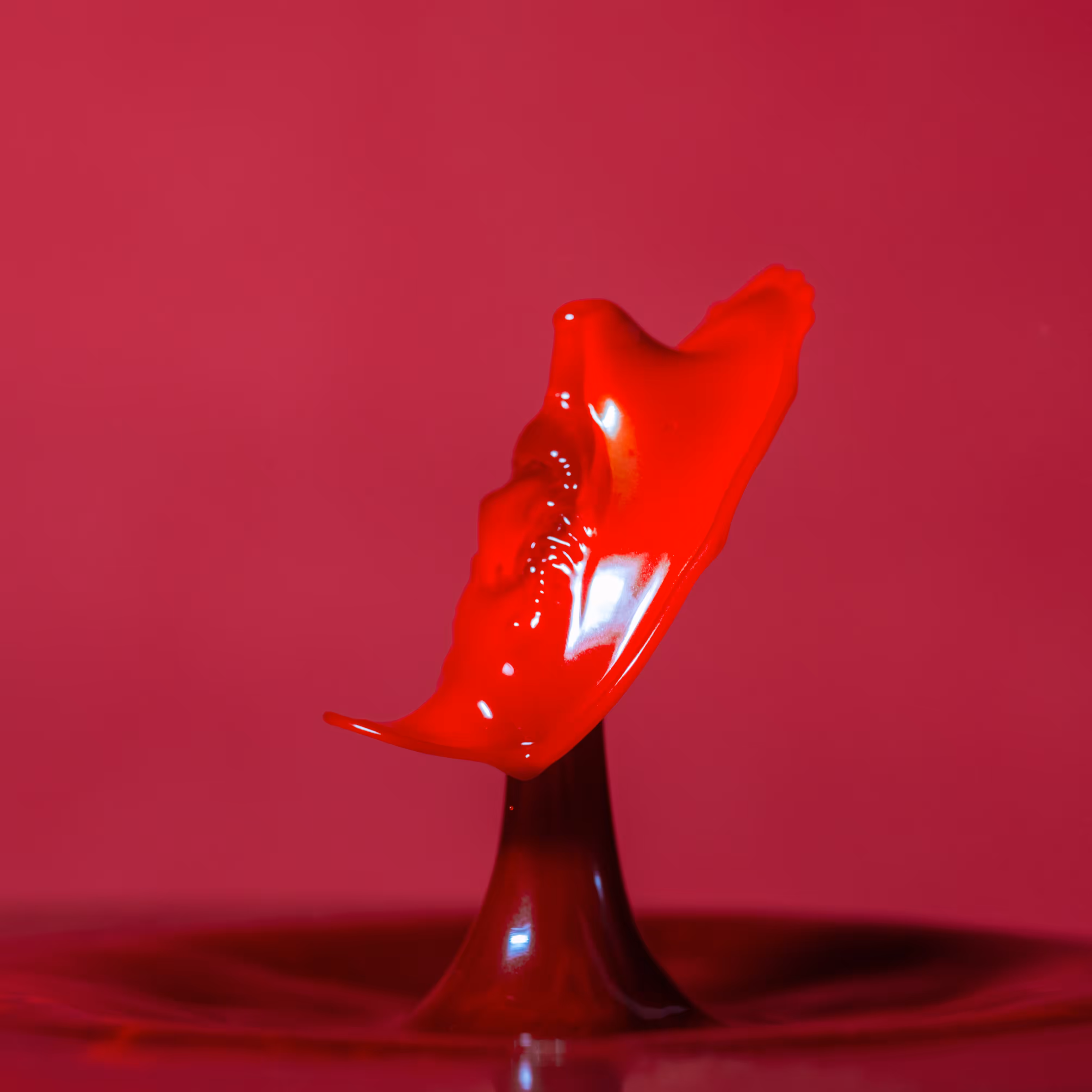 Splash of Colour Vol.2 #13