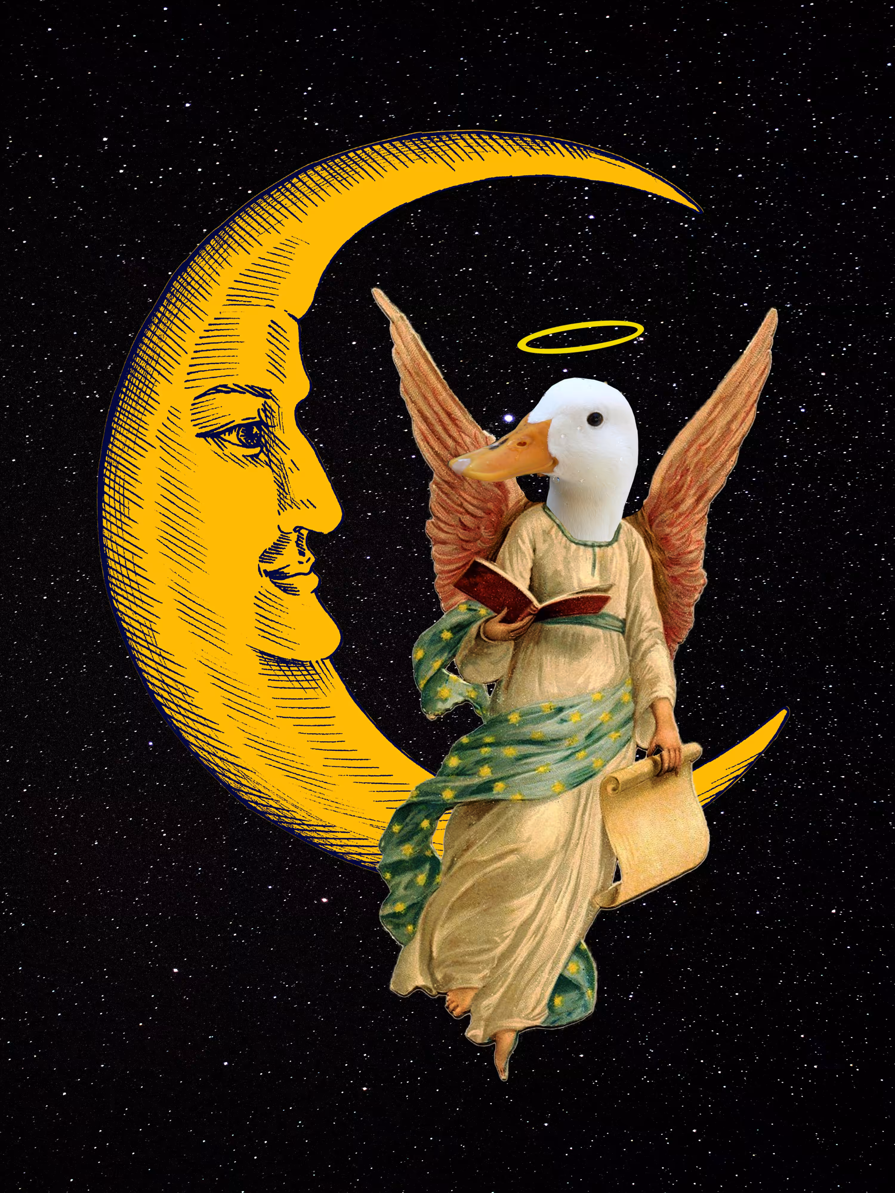 GN Duck