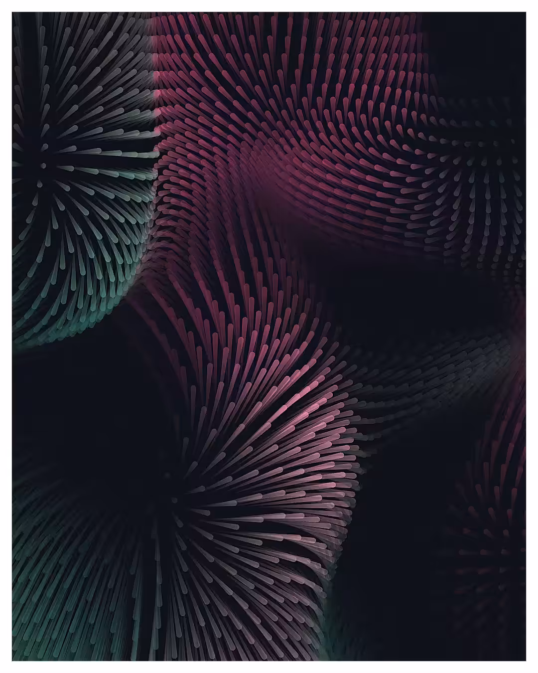 Polyps