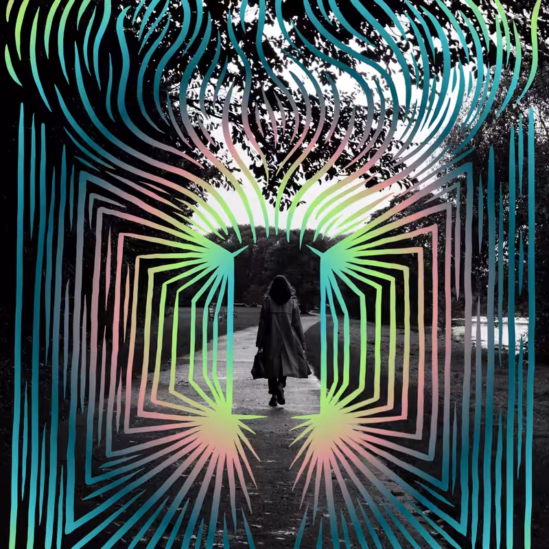THE WAY OUT