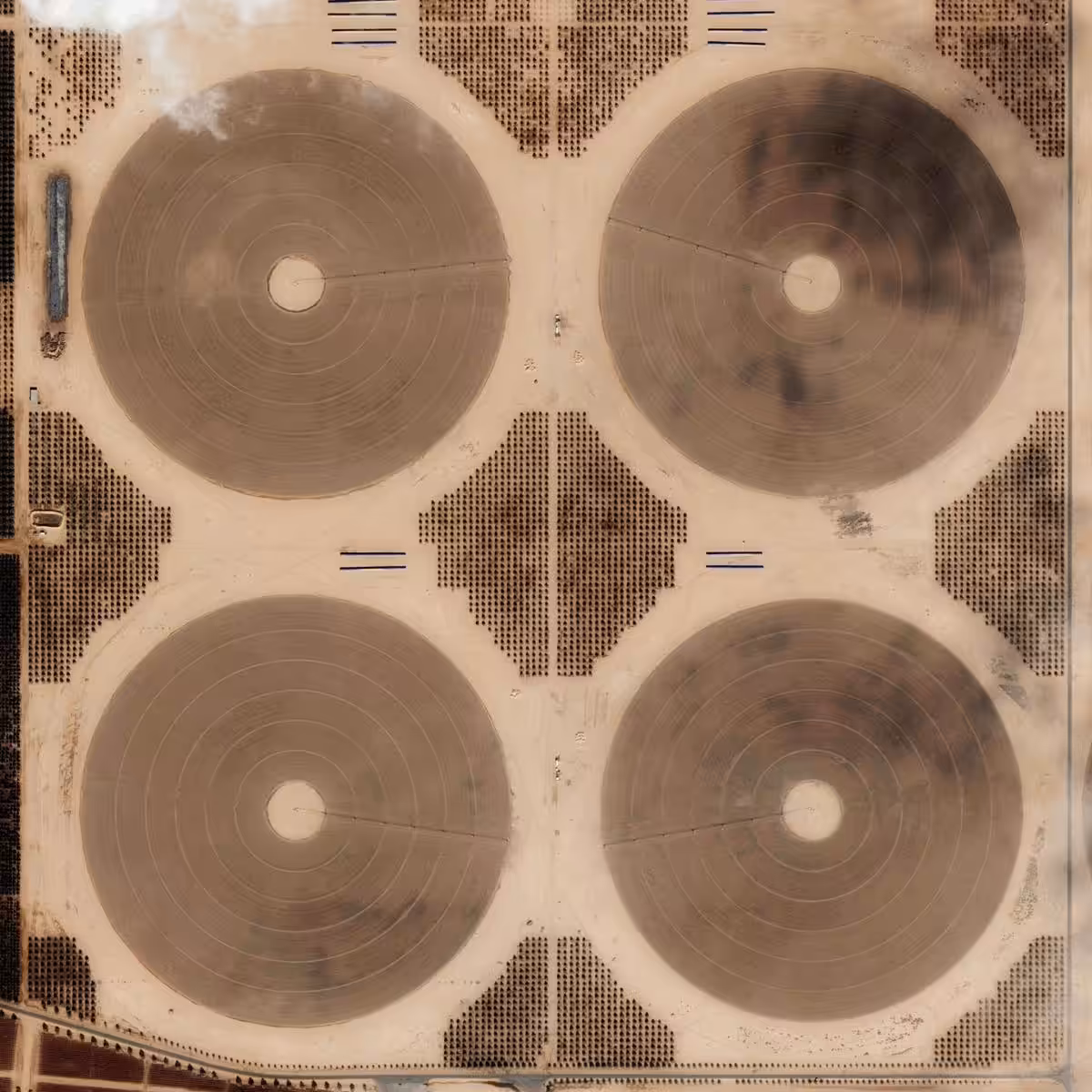 untitled (2x2 pivot irrigation)