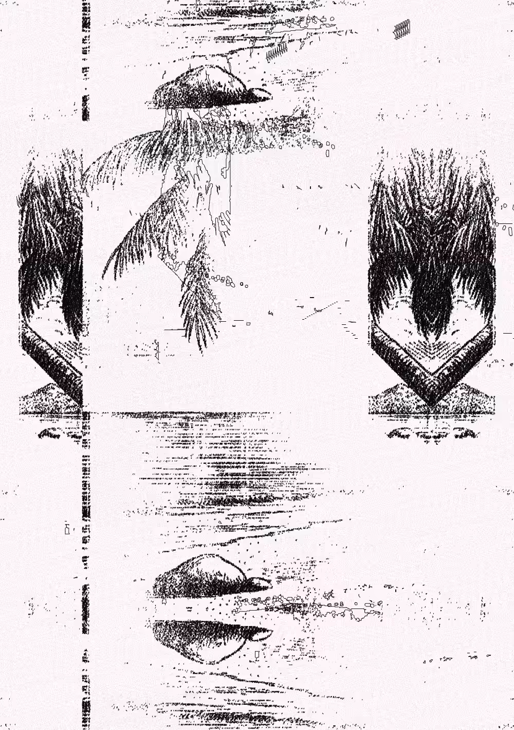 Palm Wrong 4