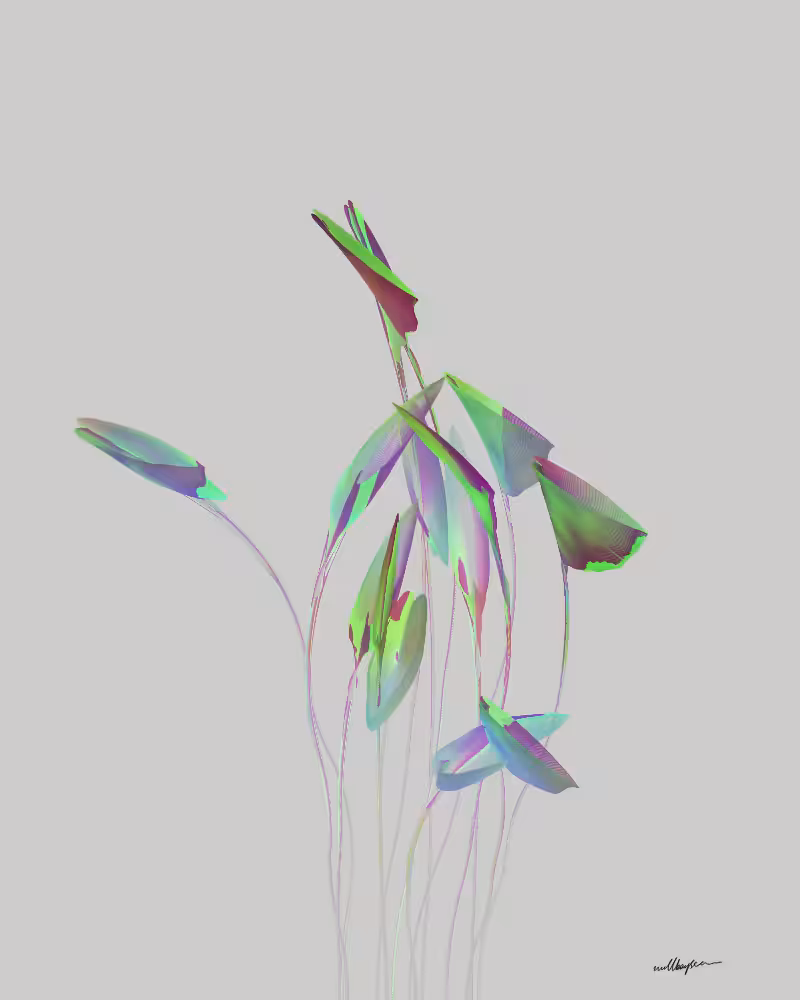 InBloom #85