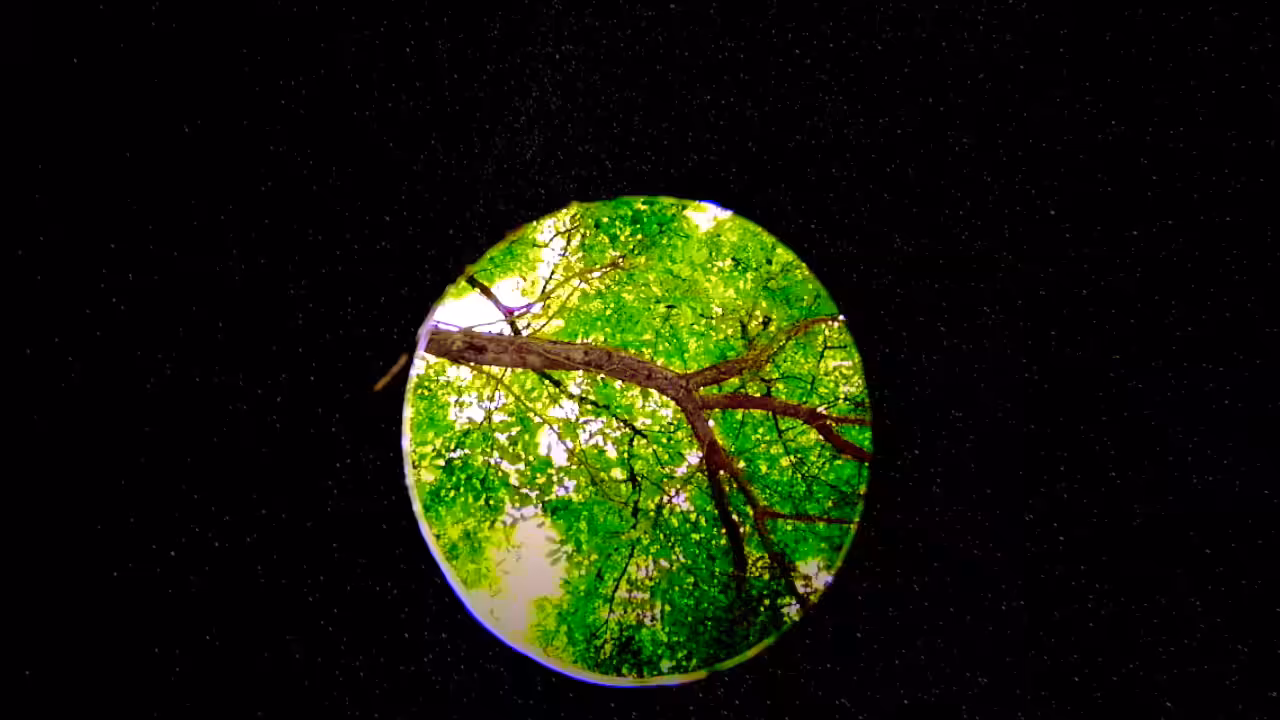 A Distant Planet