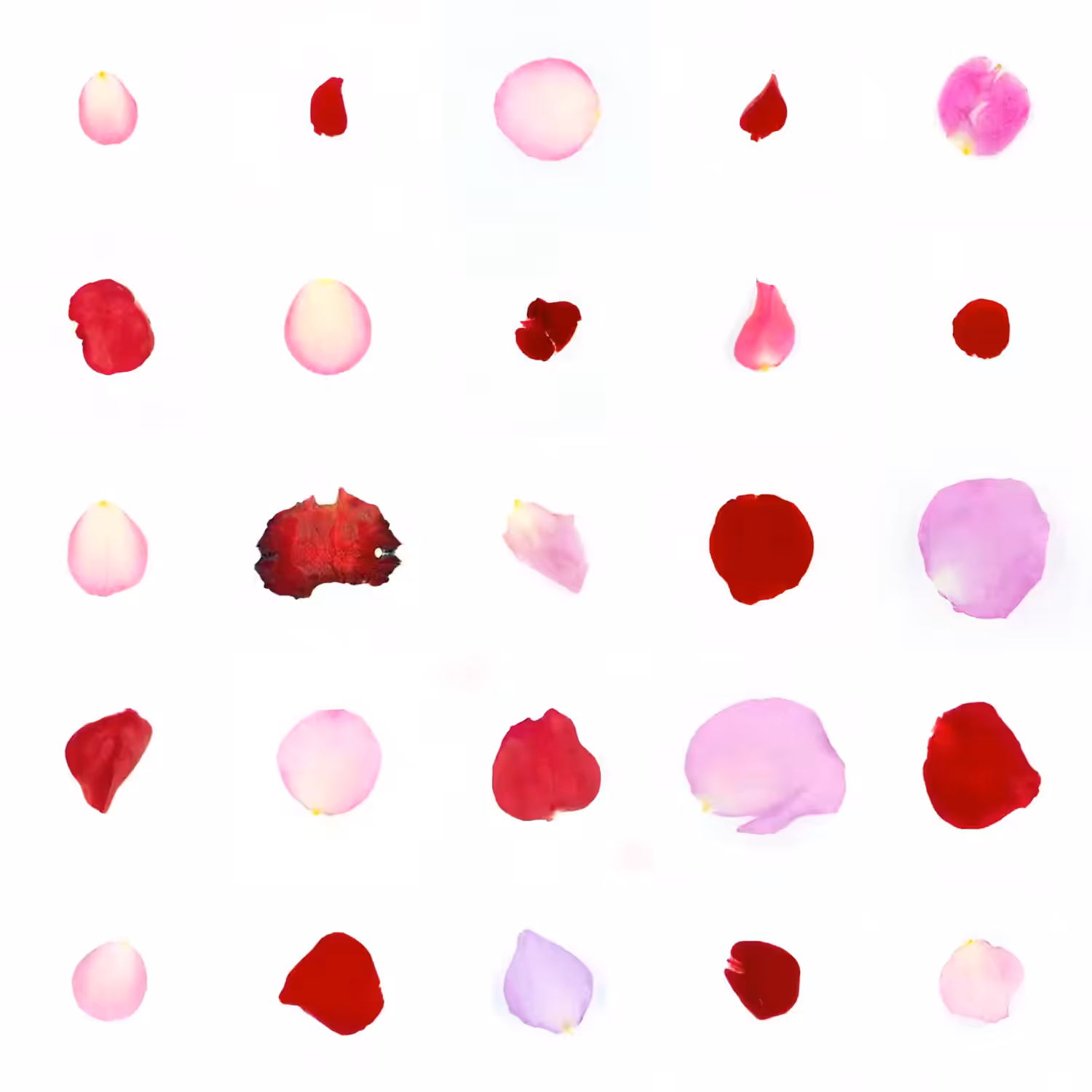 Infinite Petals 5x5#20106