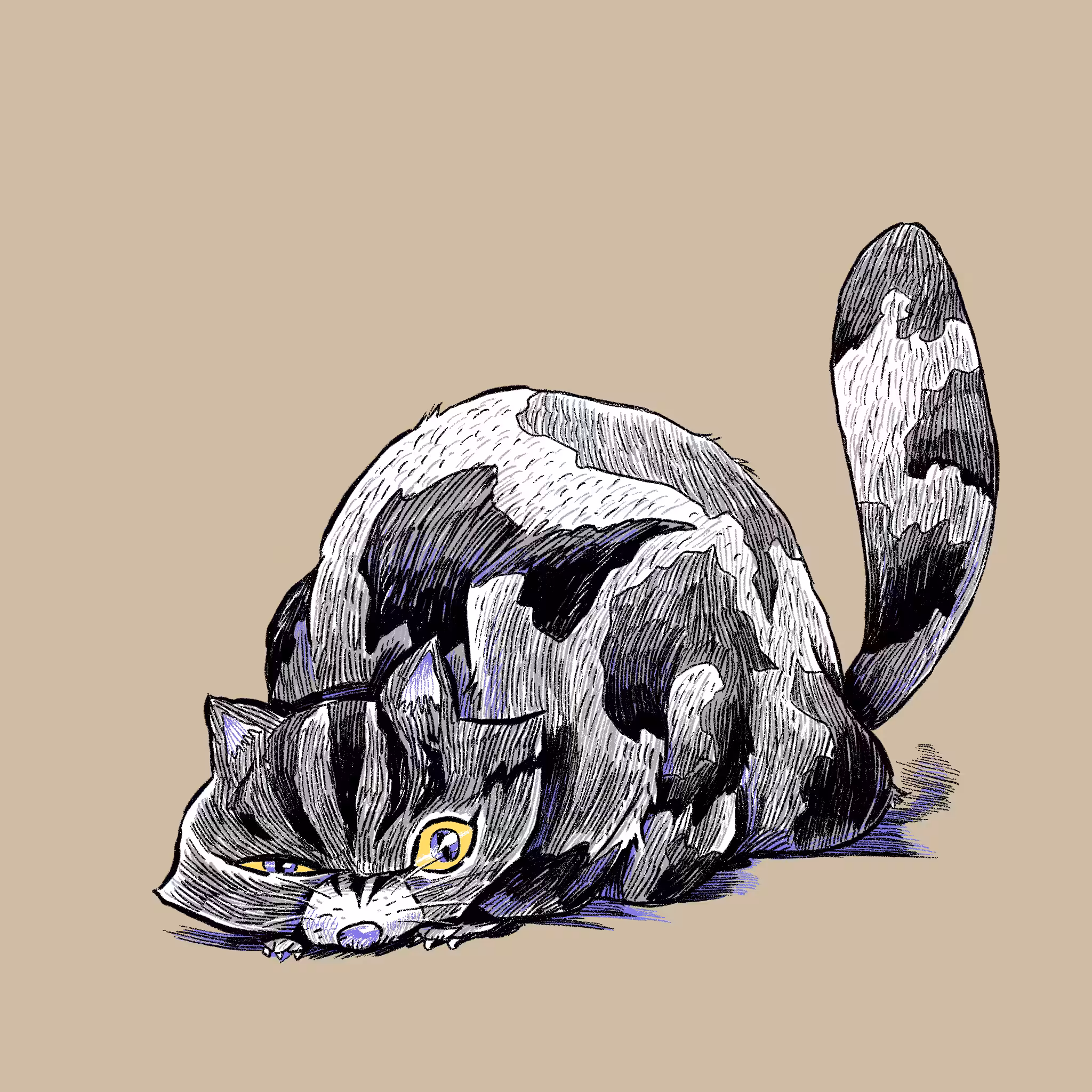 Stone Cat