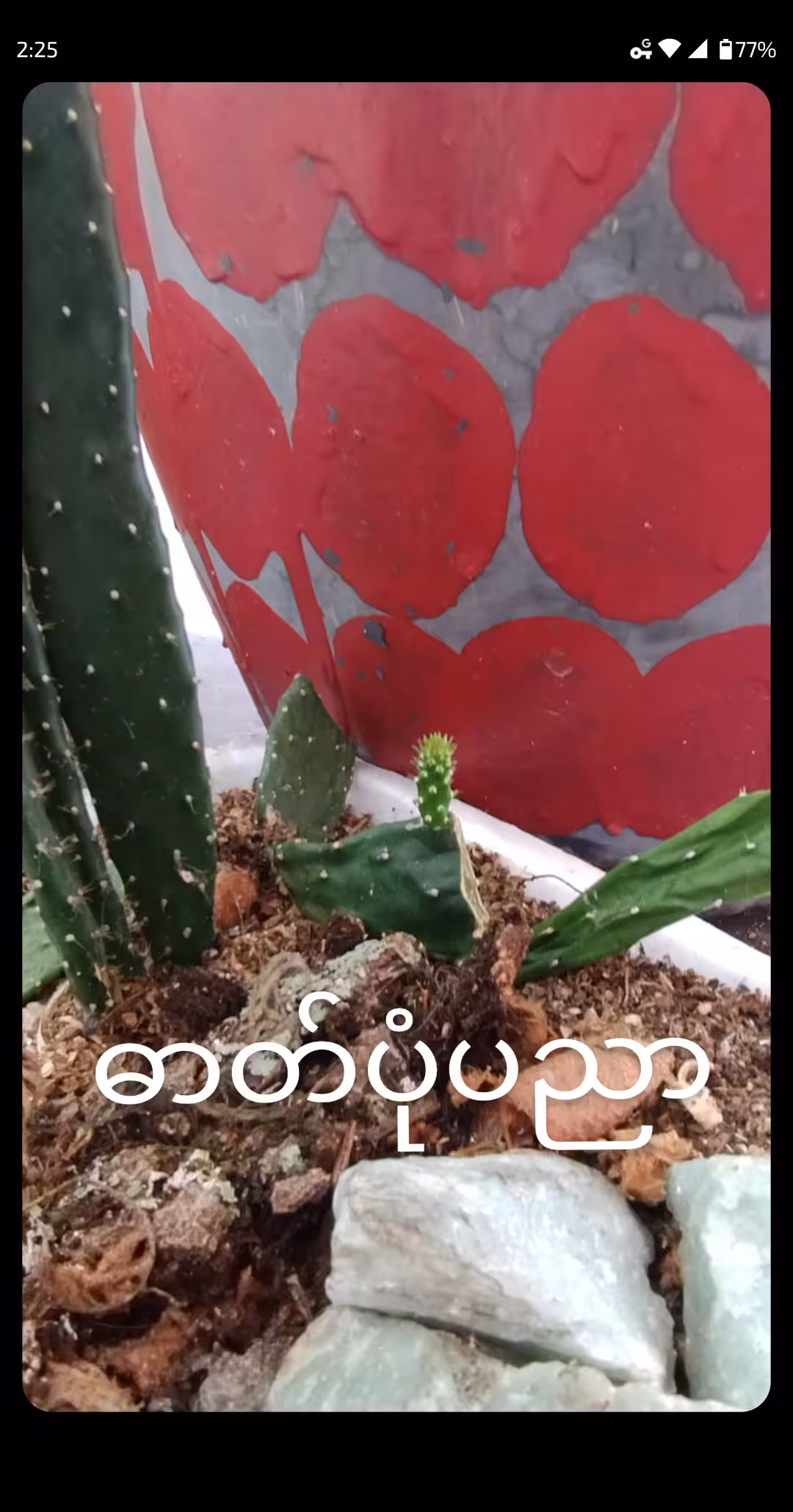 ဓာတ်ပုံပညာ