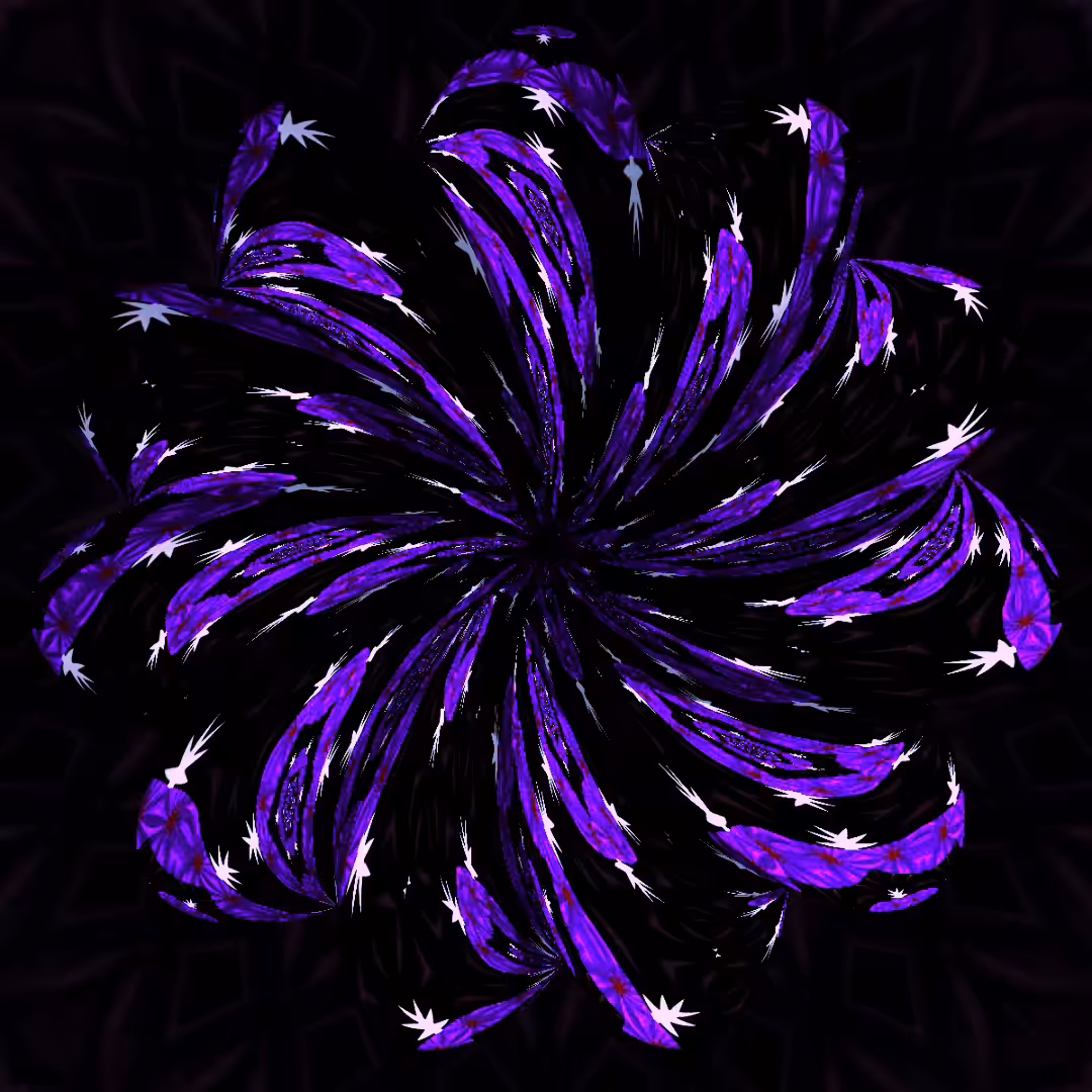 Black E Flat Purple D flat Harmony 