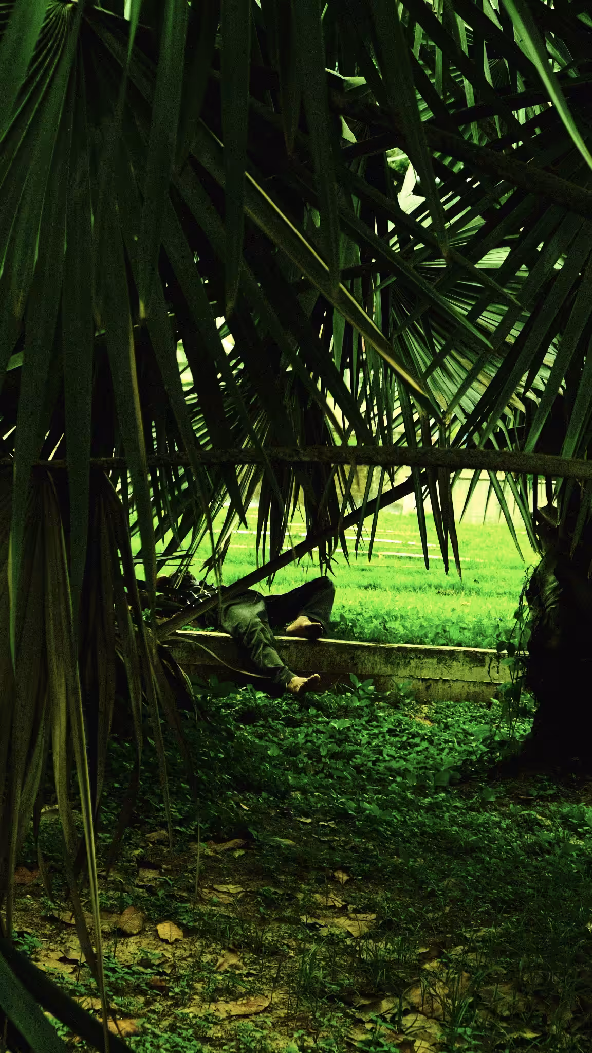 Palm n foot