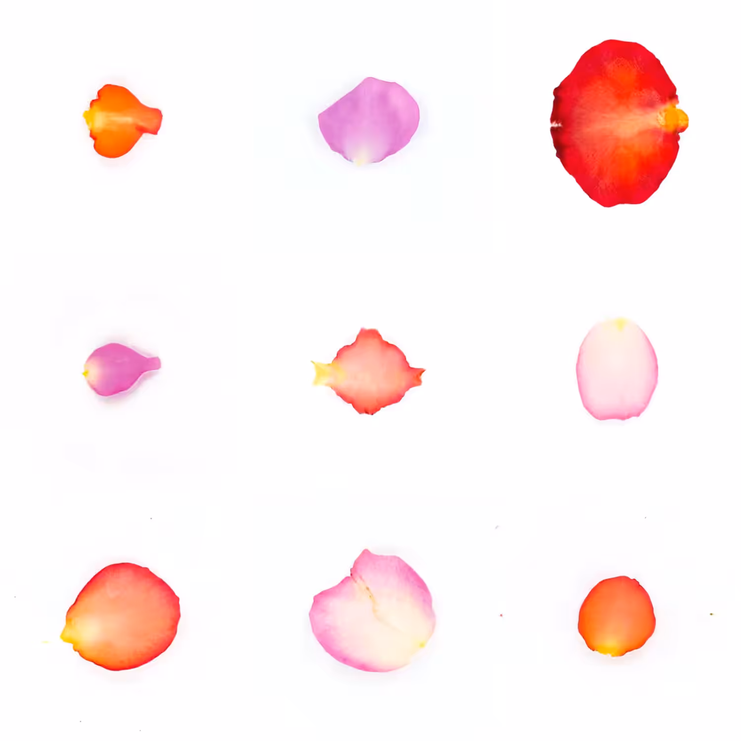 Infinite Petals 3x3#3673