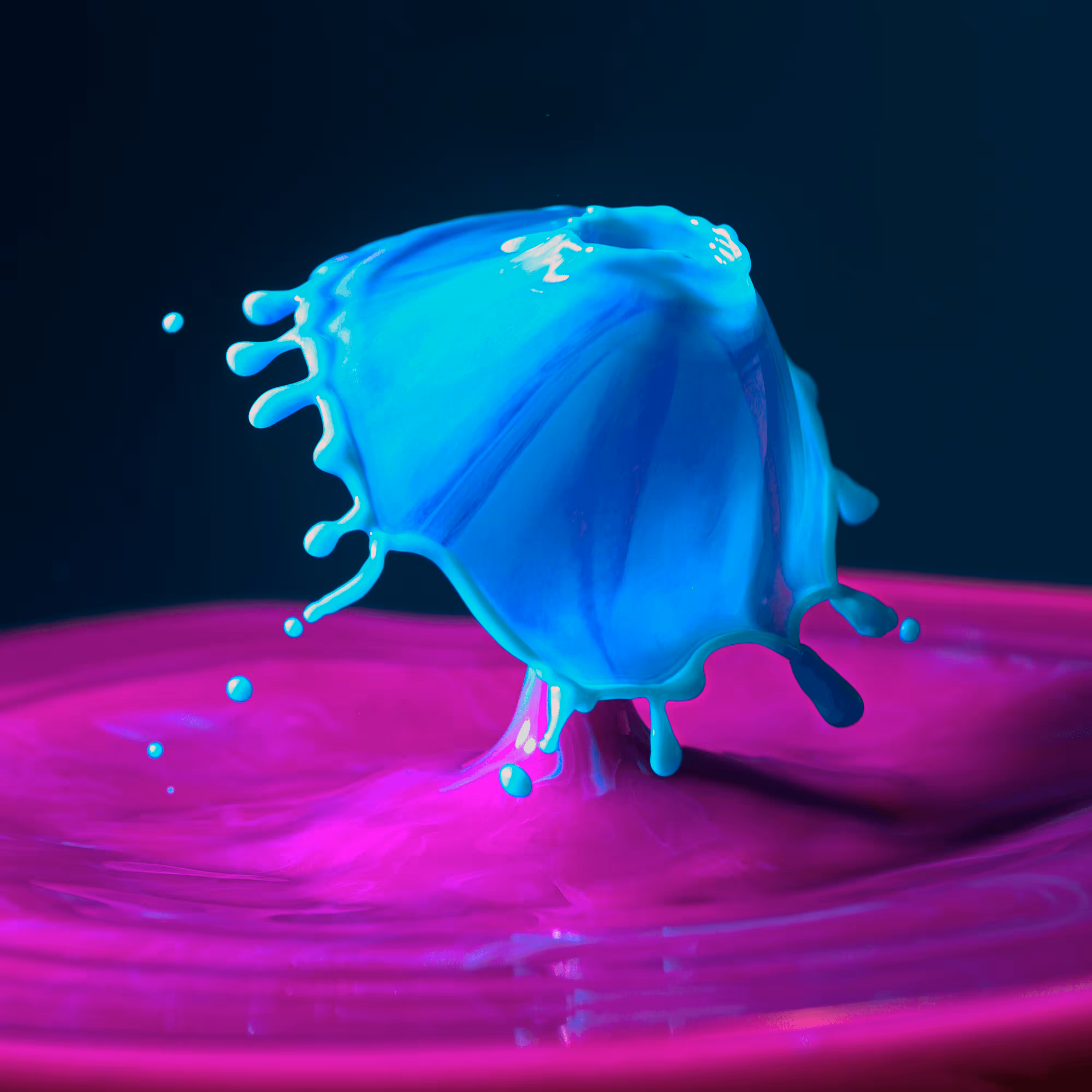 melting moments
