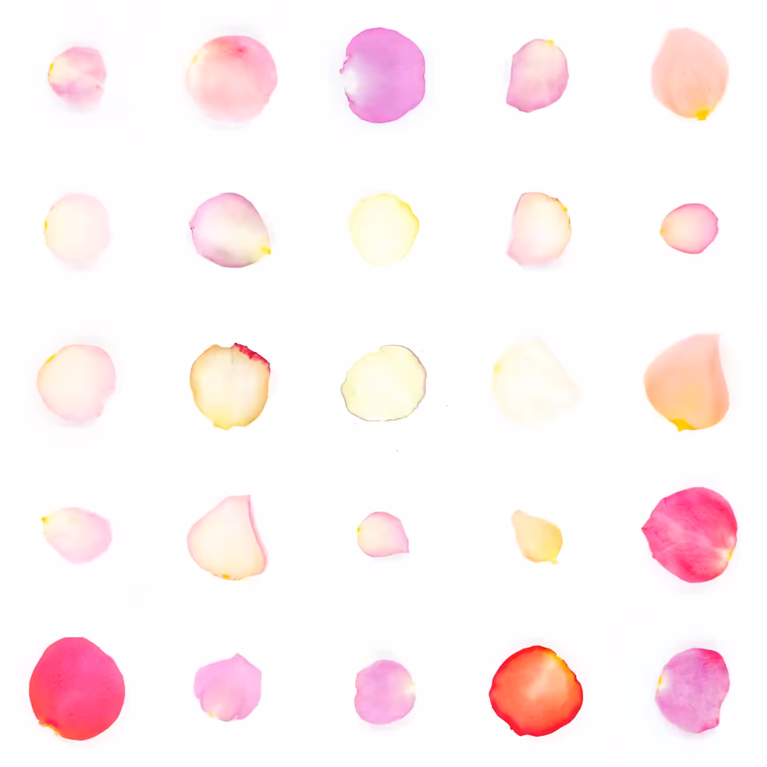 Infinite Petals 5x5#20445