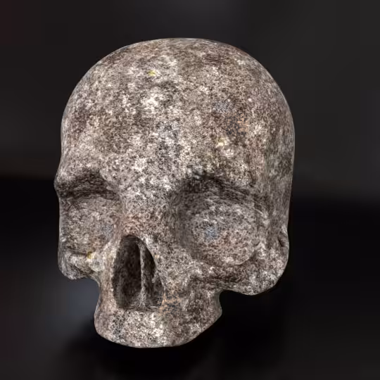 SkullZ #109