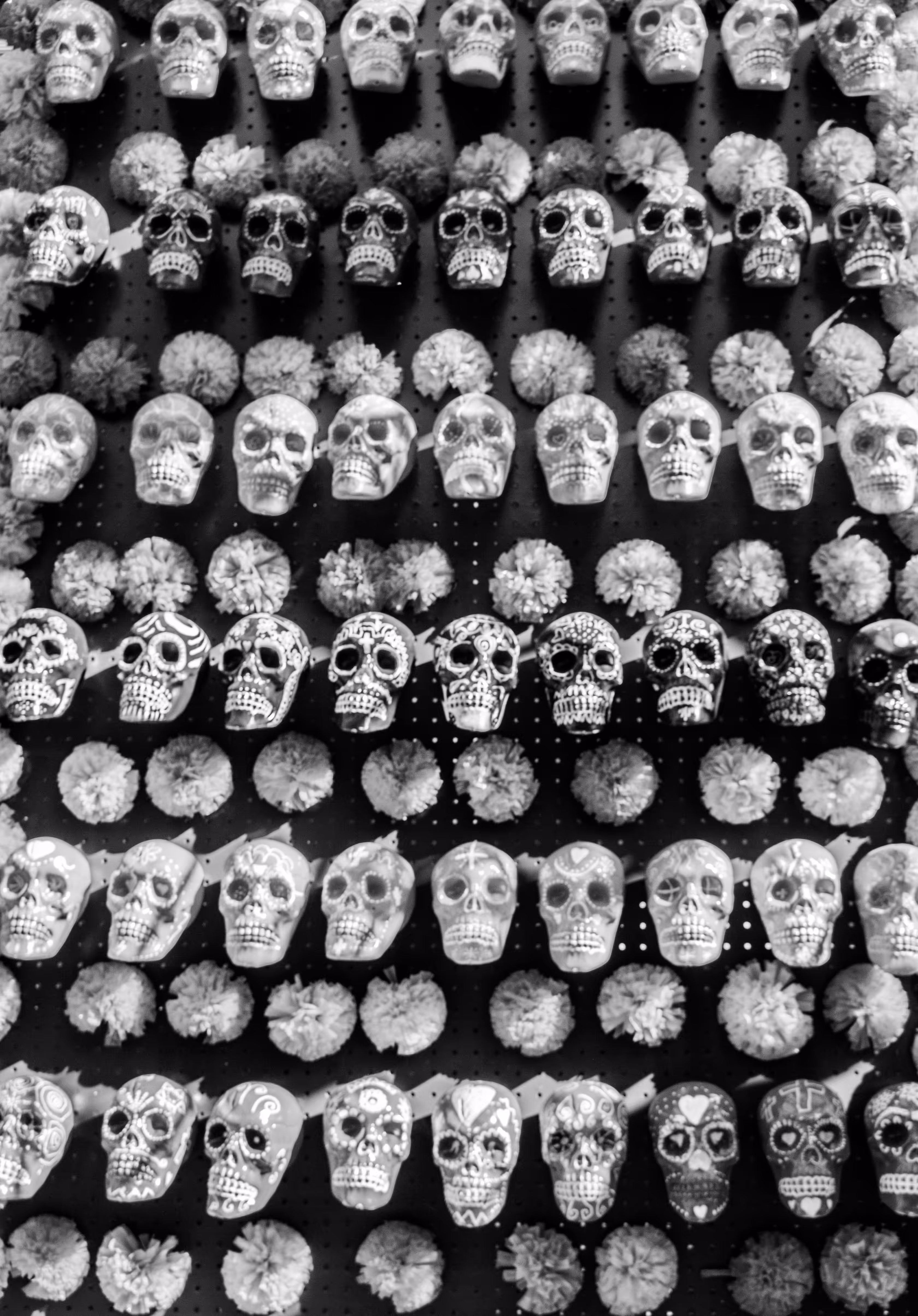 Calaveras & Carnations