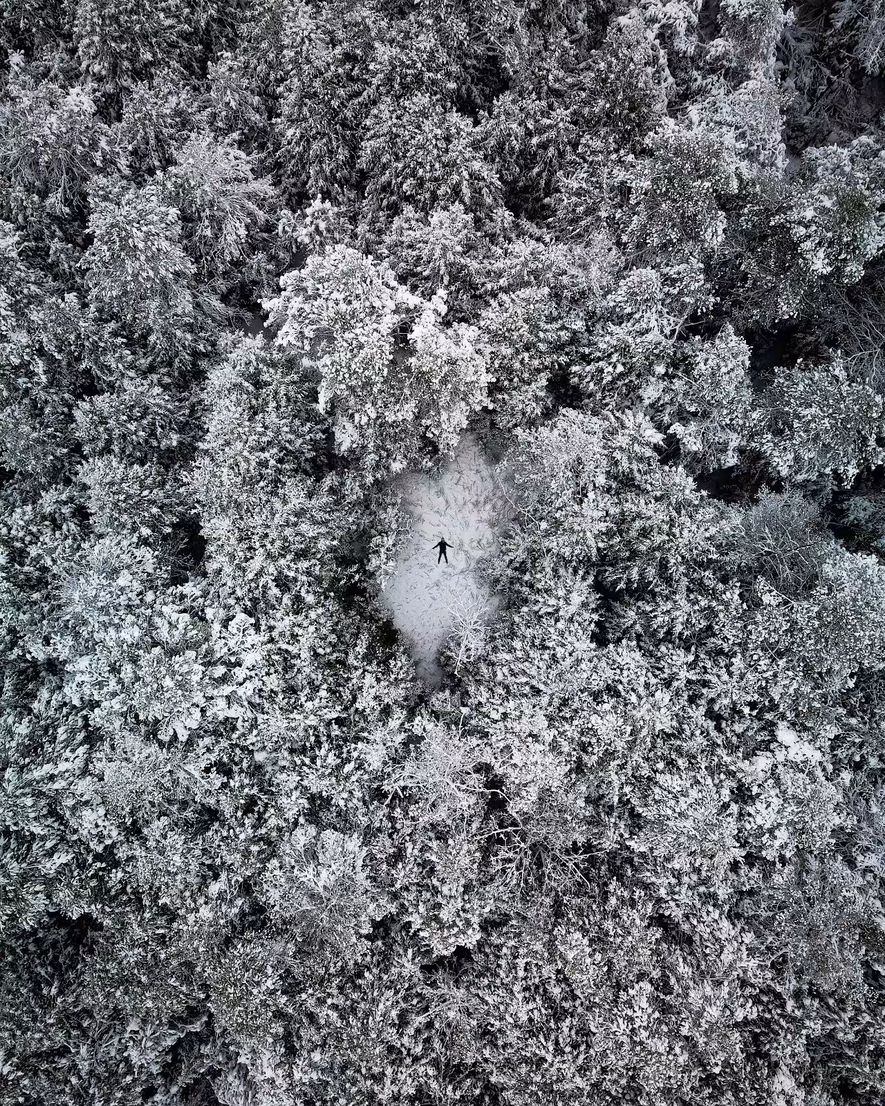 Frozen Dreams #18