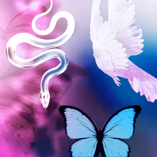 Sacred Animals