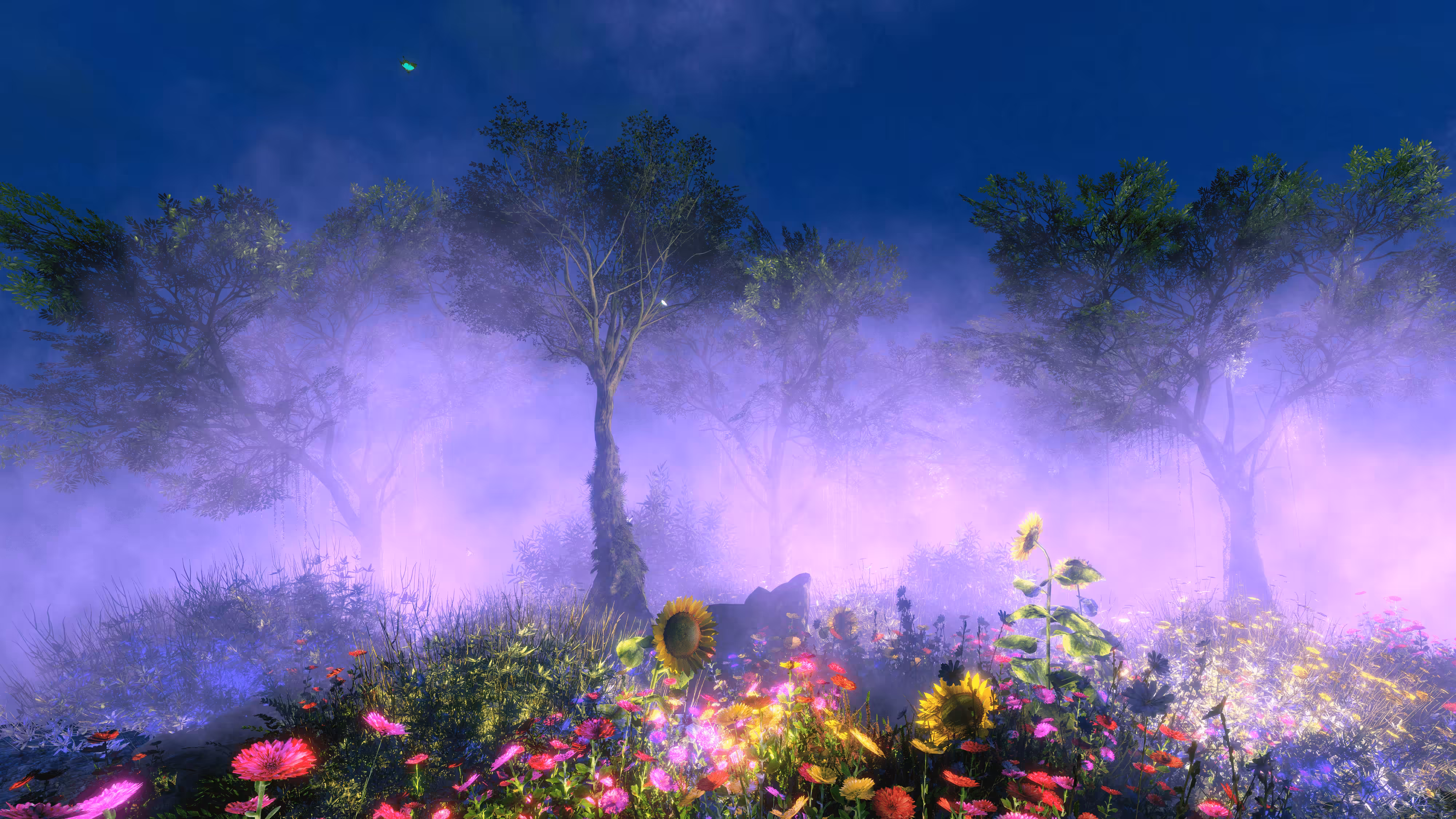 Hyper Landscapes #3