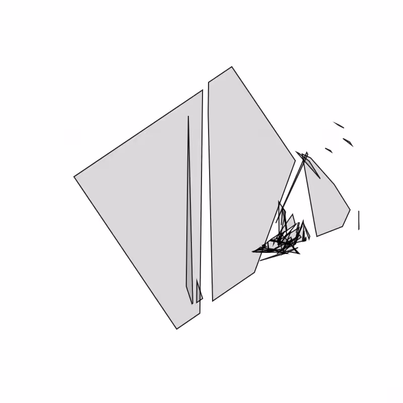 Fracture #205