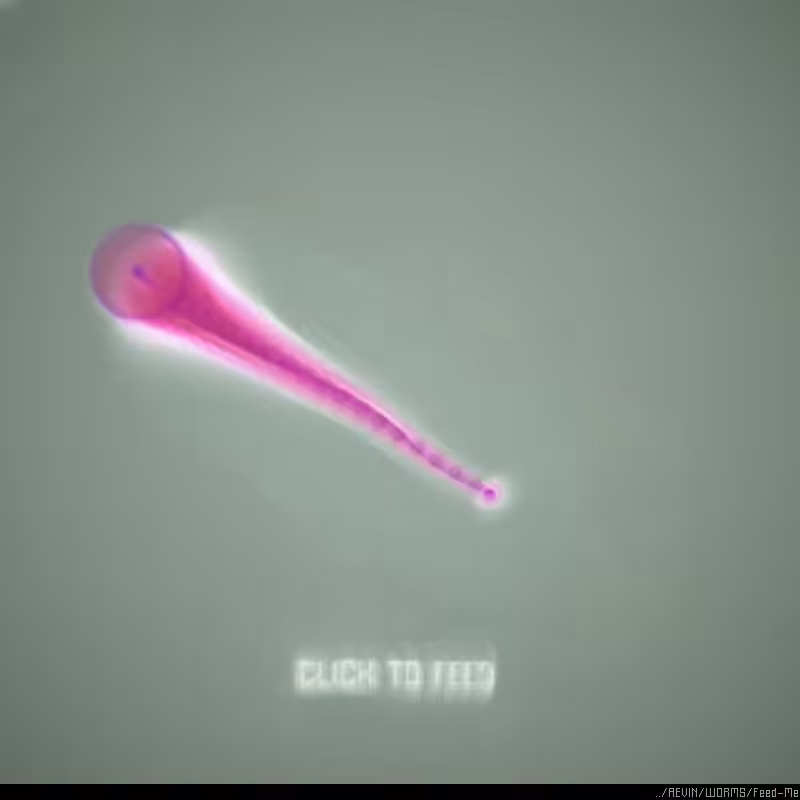 WORMS / Feed Me #57