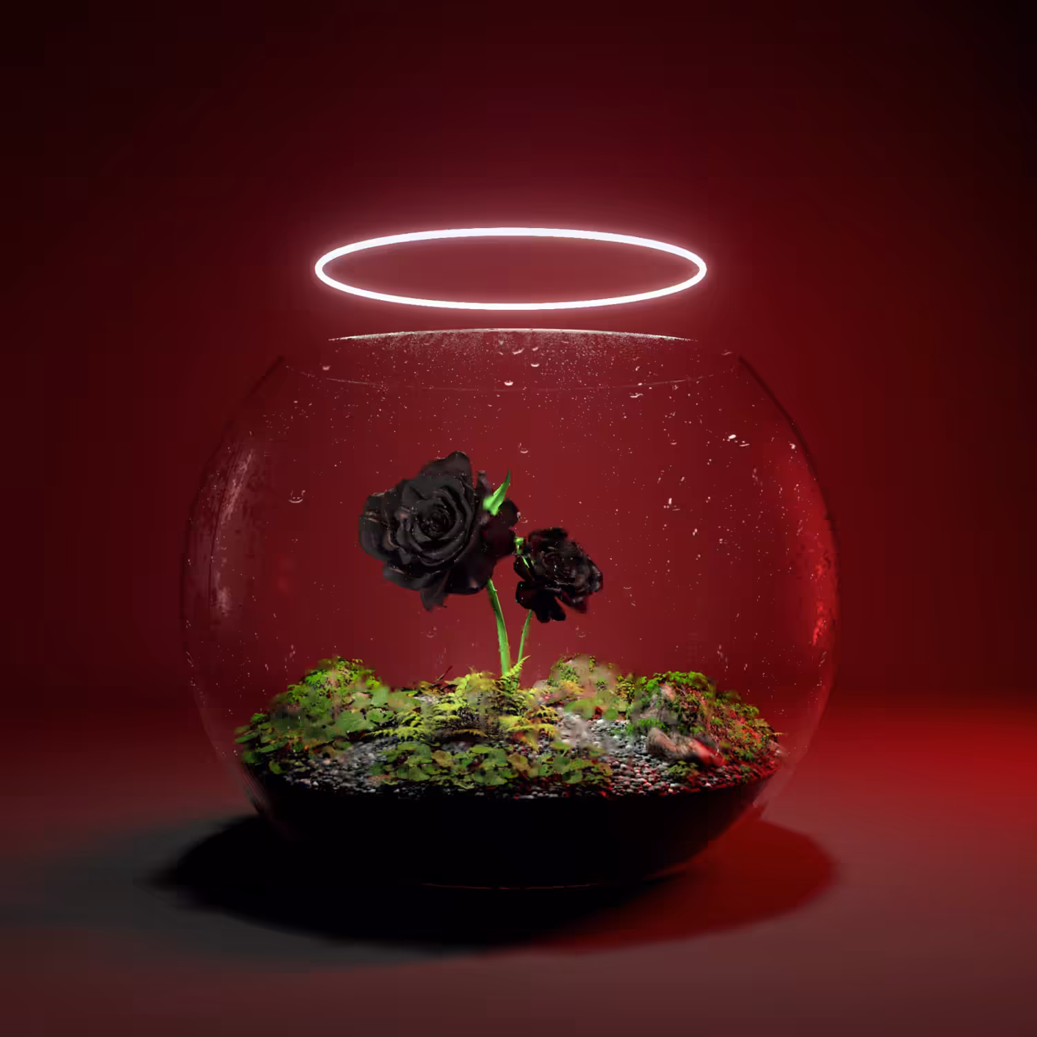 Terrarium #08