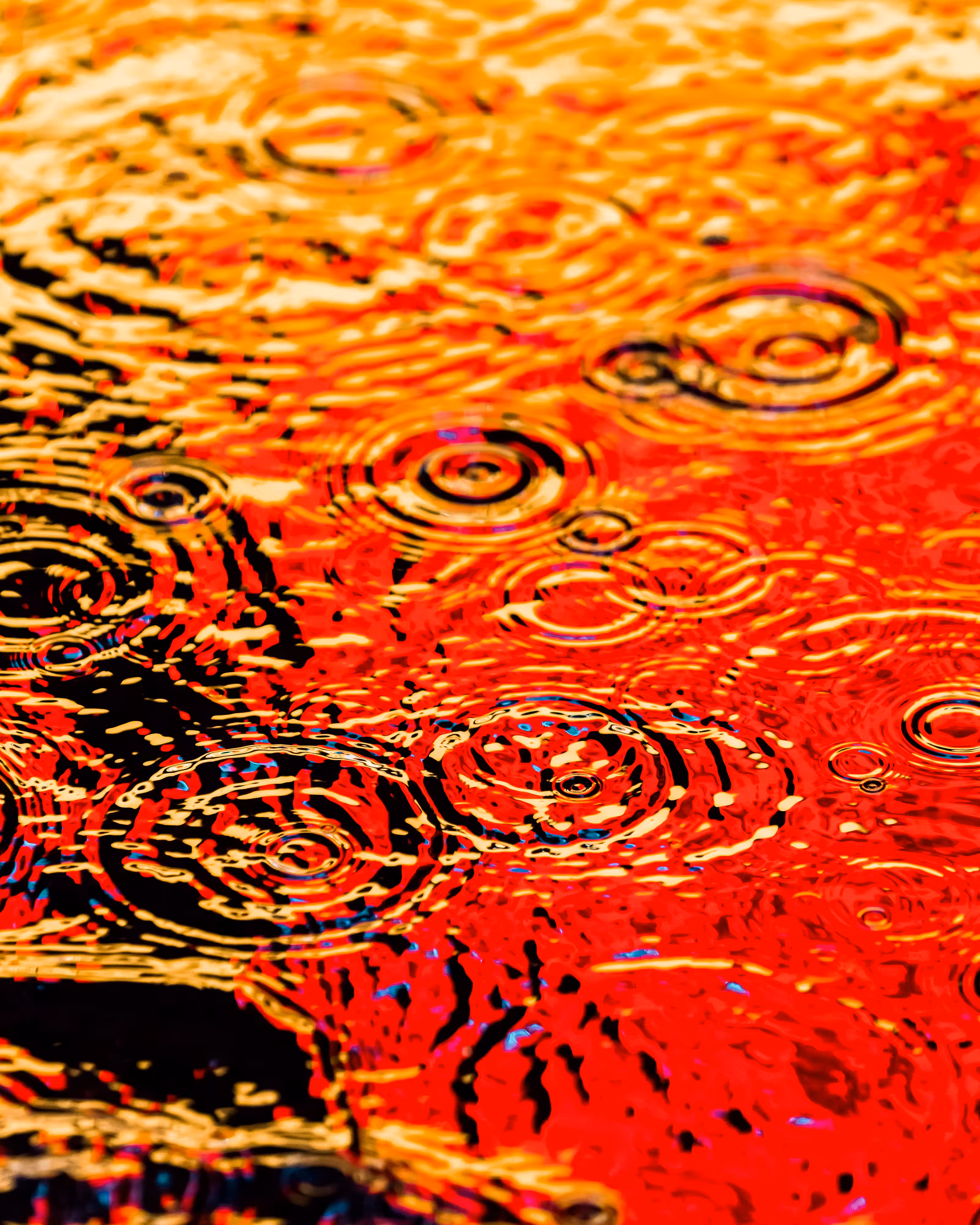 DRIP DROP: DRIP #695