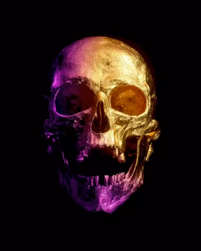 ▪ Chemical Fossil ▪