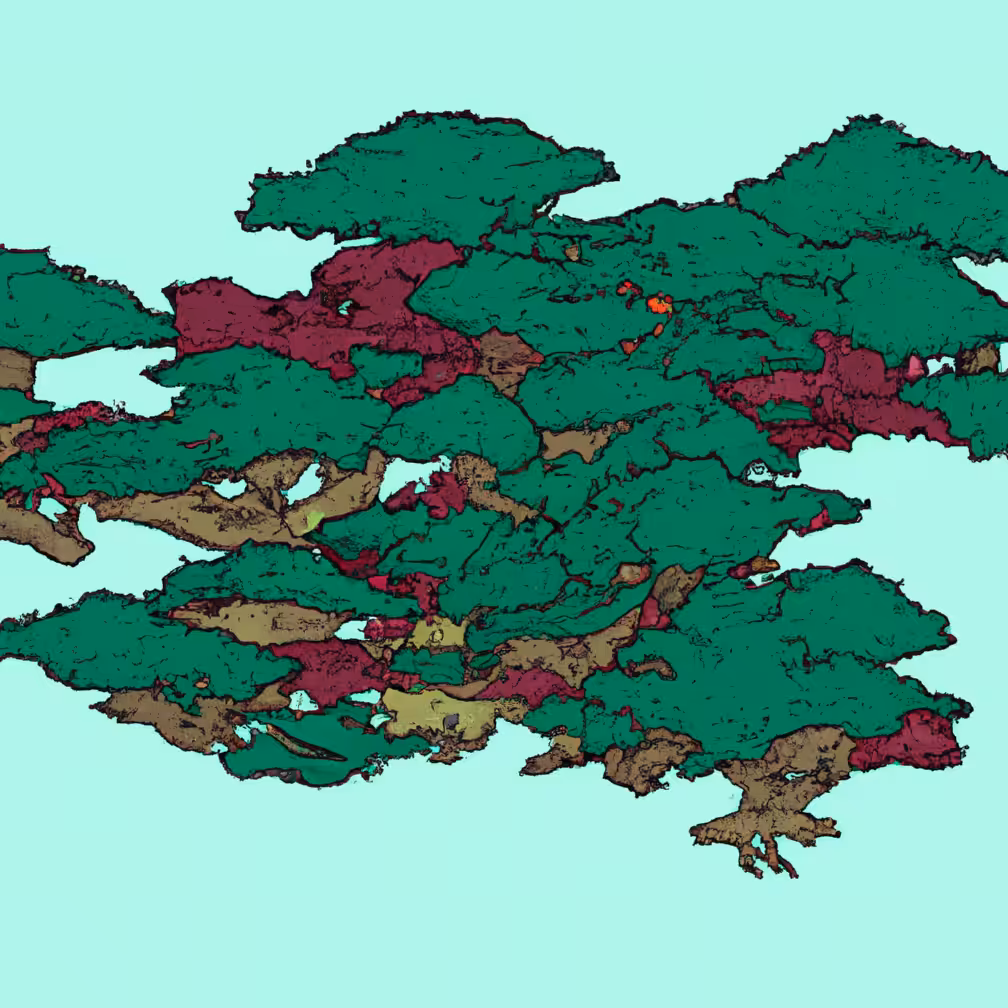 Three cycles: Procedural Maritime Pine 271333