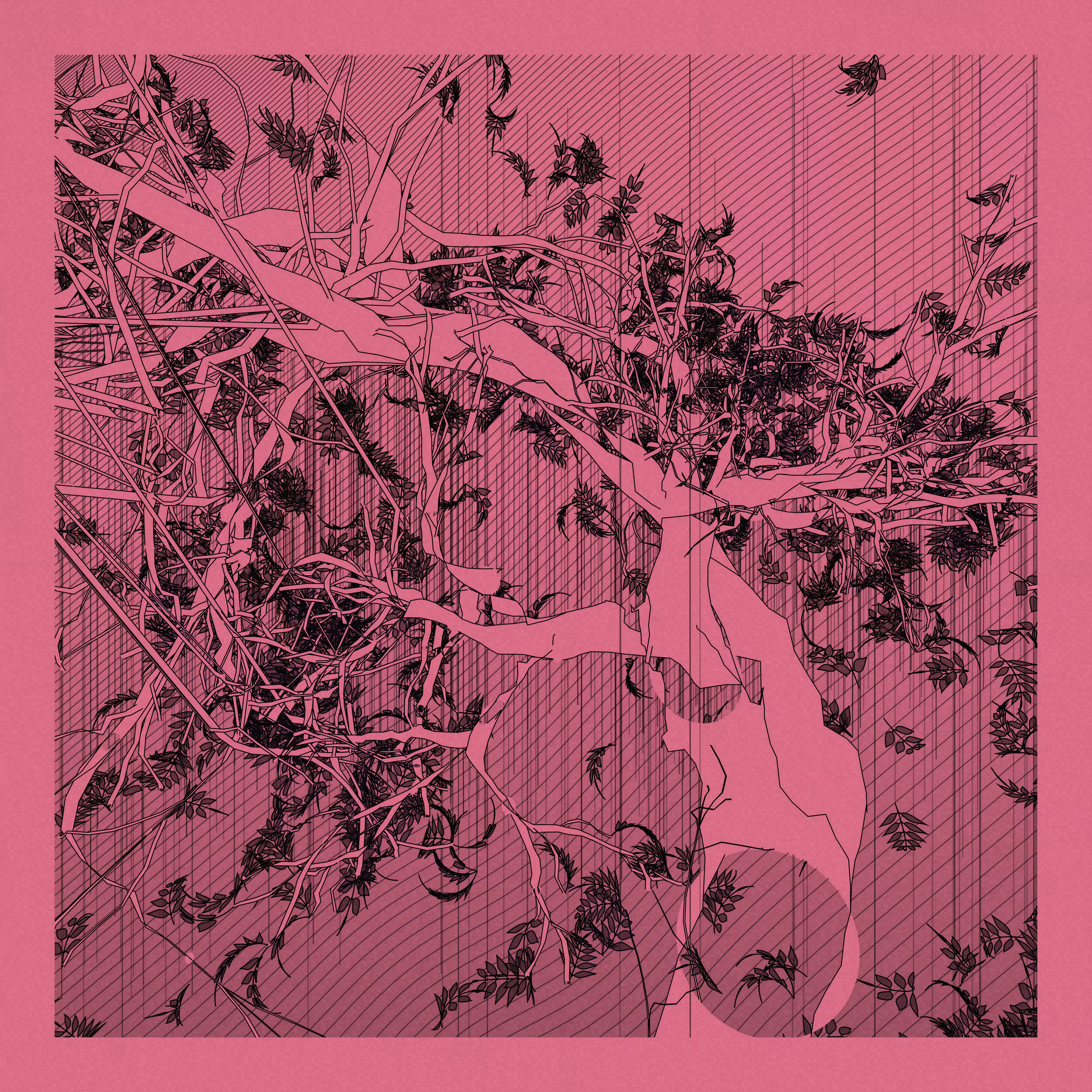 A Bugged Forest #882