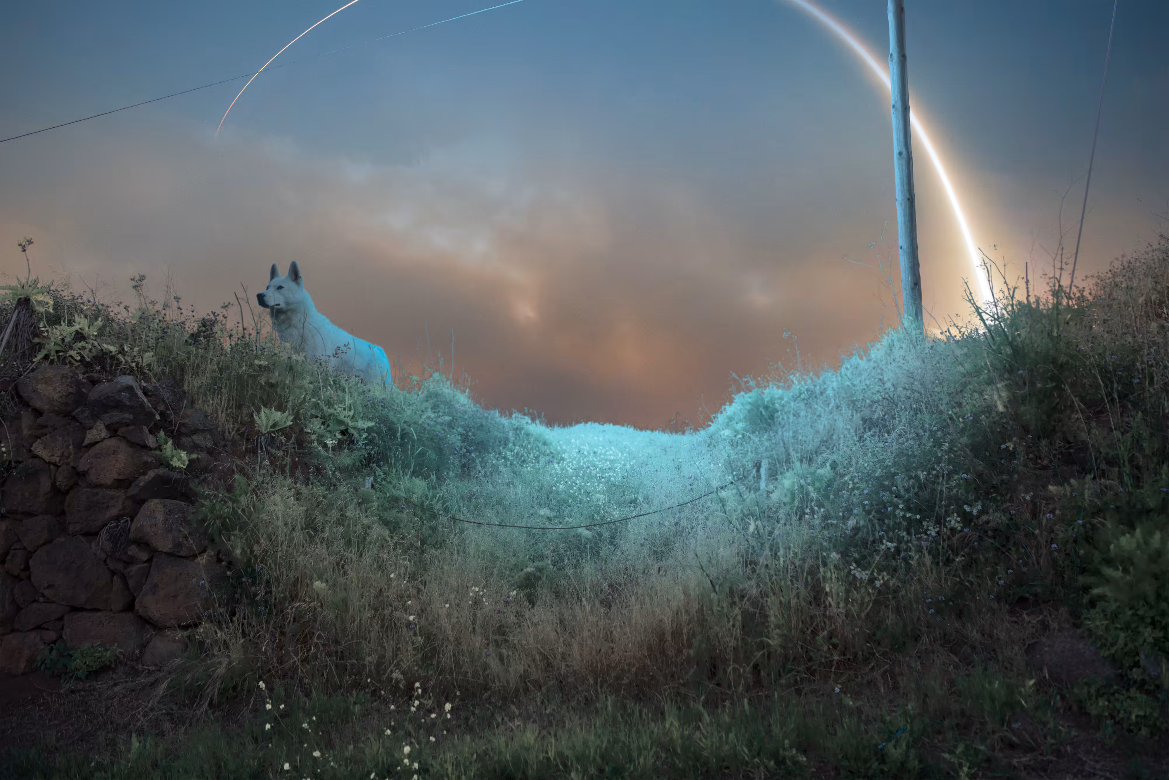Moon Landing