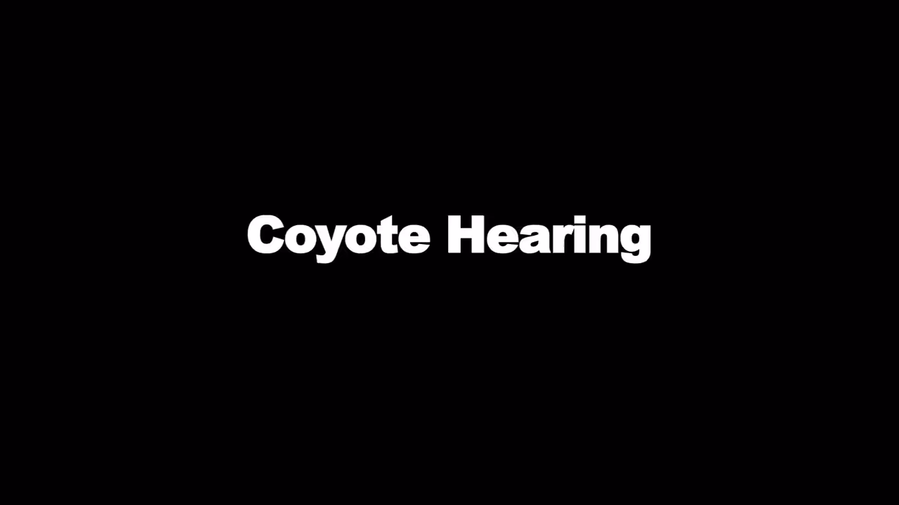 Coyote Hearing