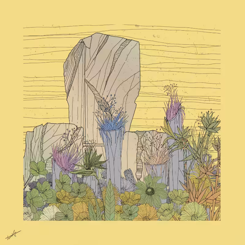 Garden of Lines #Rocks_Blooms #45